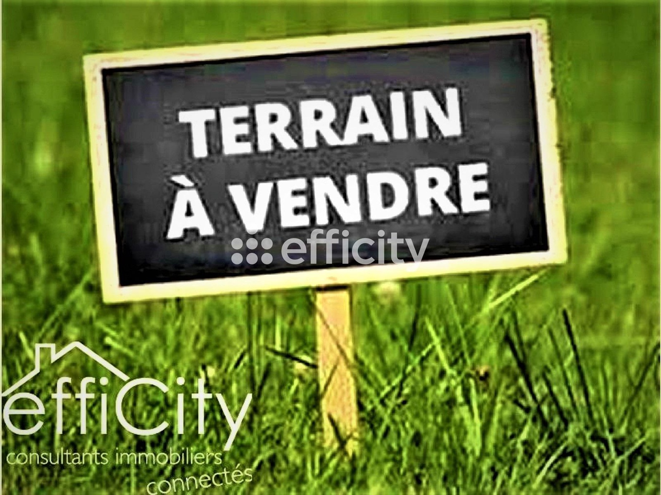 Achat immobilier Terrain   650m2 à Novillers (60730) - Photo n°1
