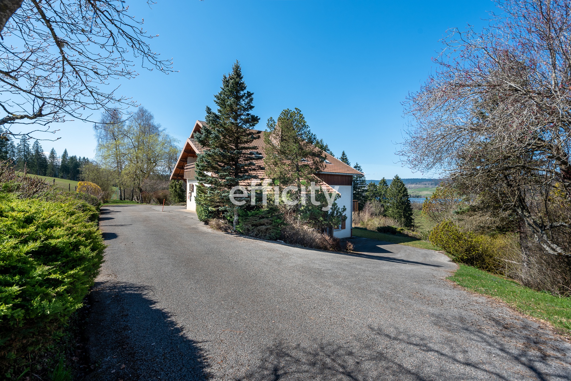 Achat immobilier Maison 10 pièces  450m2 à Labergement-Sainte-Marie (25160) - Photo n°14