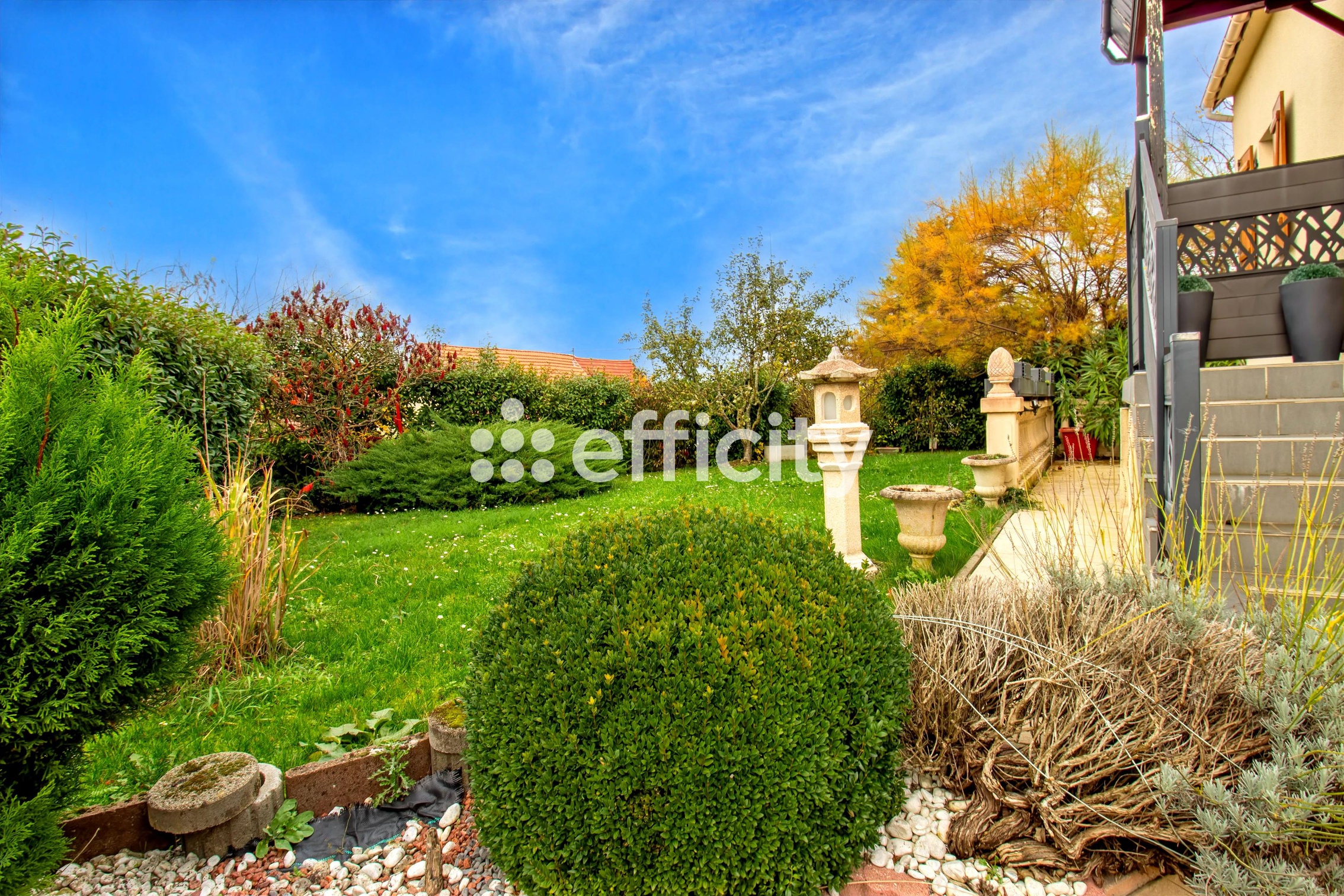 Photo illustration