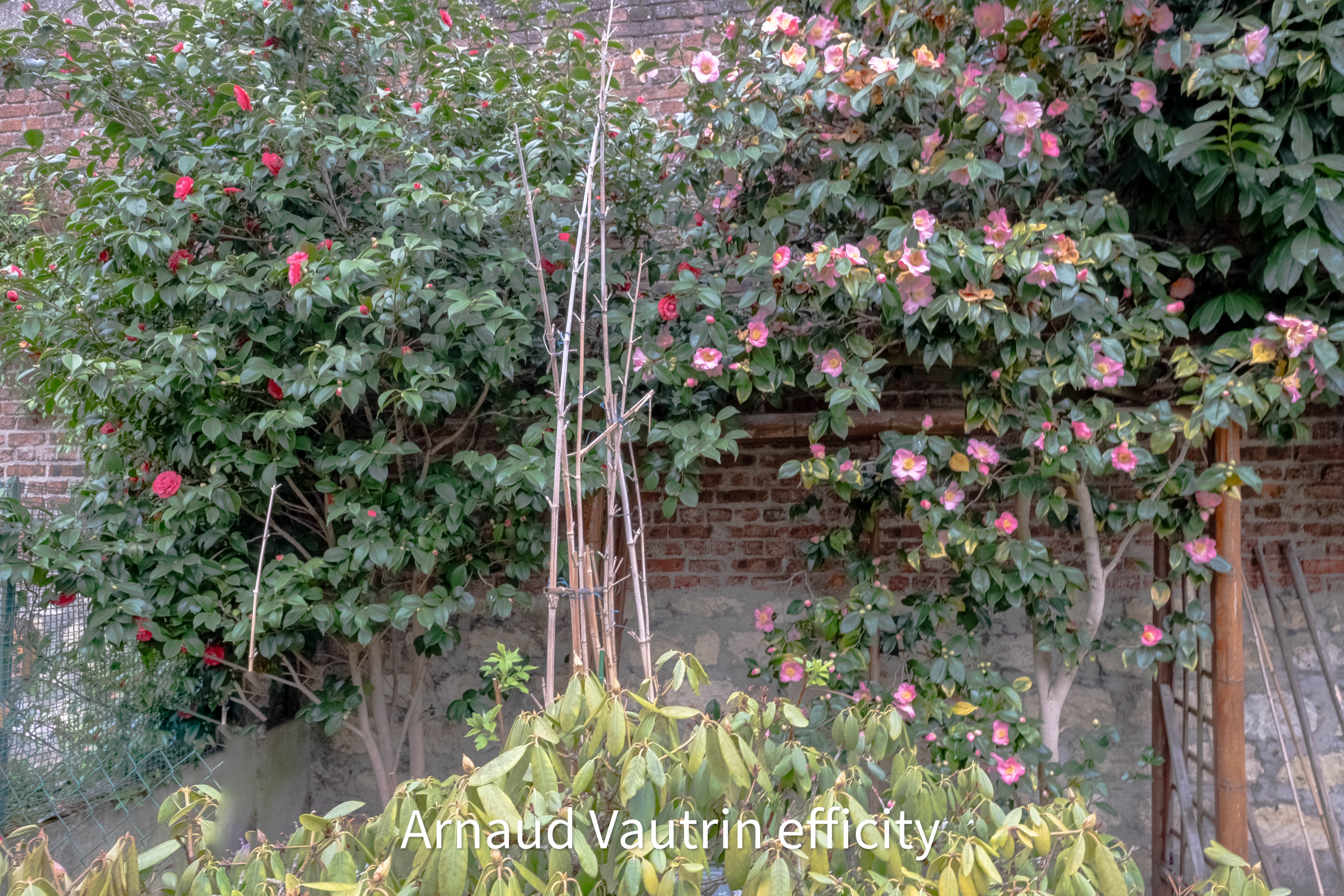 Achat immobilier Maison 5 pièces  108m2 à Noisy-le-Sec (93130) - Photo n°19