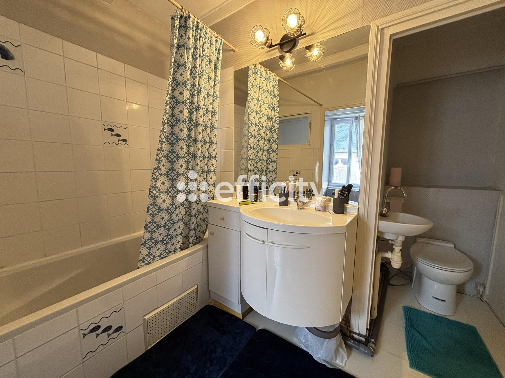 Achat immobilier Maison 9 pièces  200m2 à Saint-Jean-de-Liversay (17170) - Photo n°17