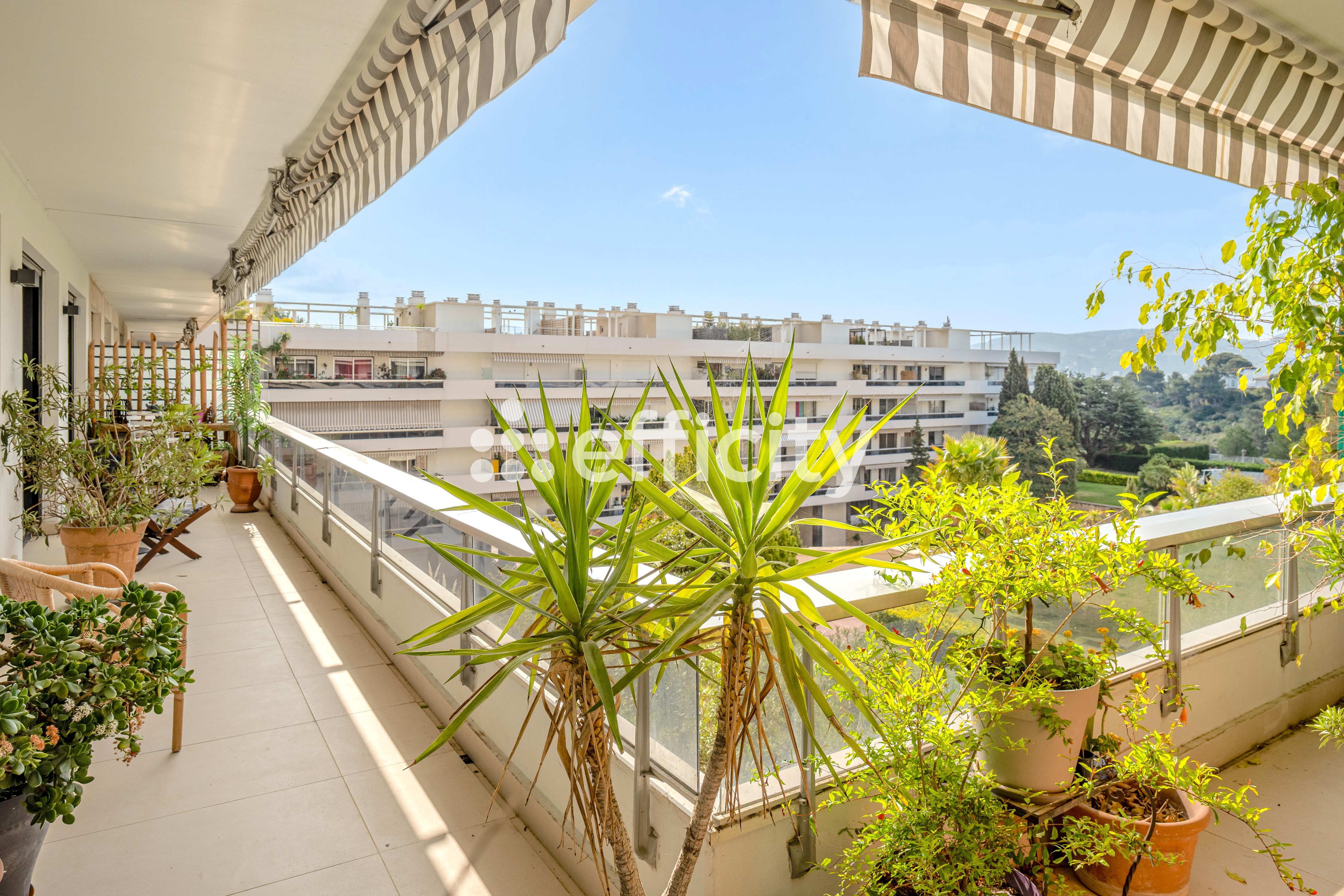 Achat immobilier Appartement 6 pièces  190m2 à Marseille (13008) - Photo n°4