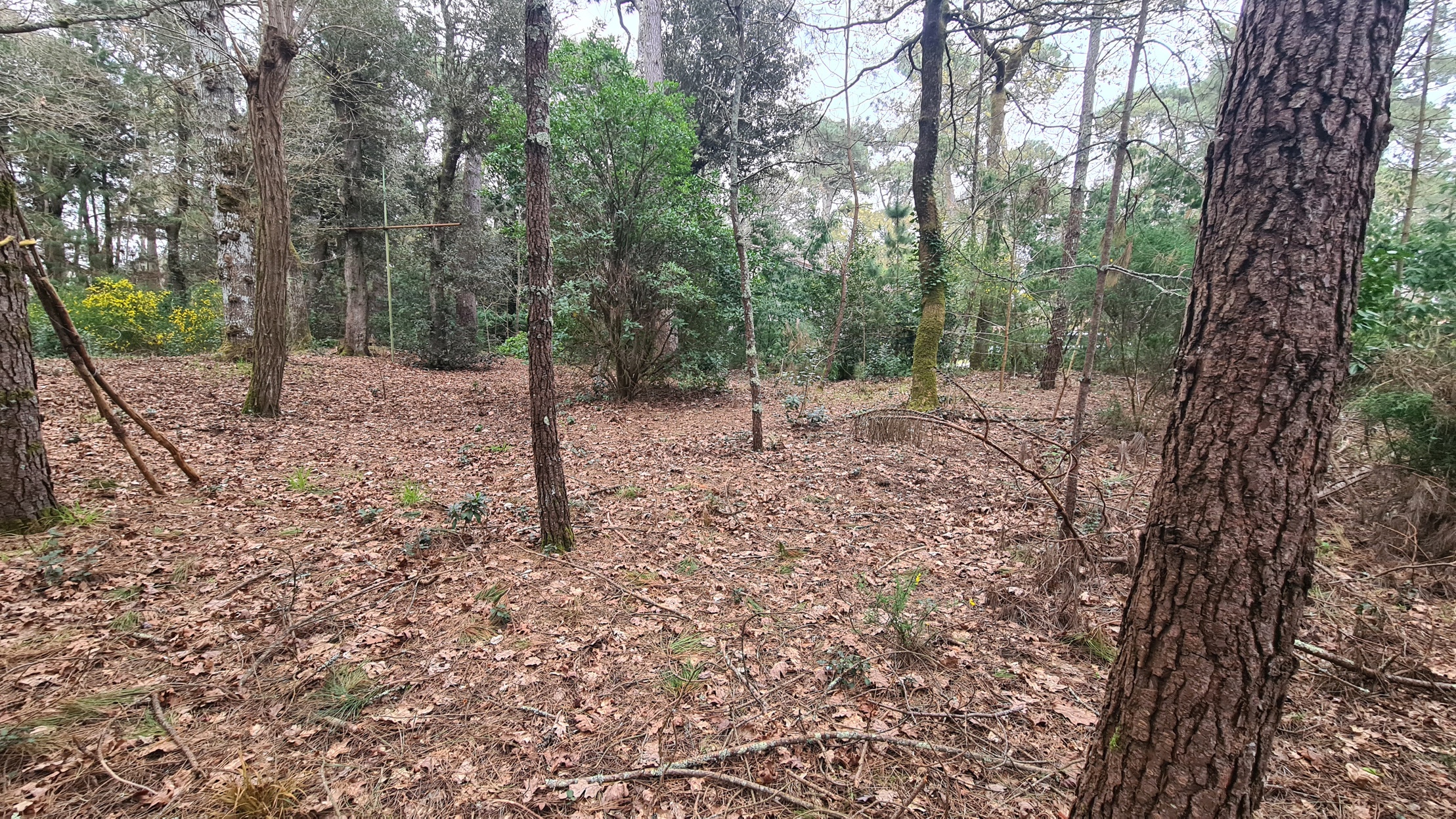 terrain  - 1060m2 à Saint-Brevin-les-Pins (44250)