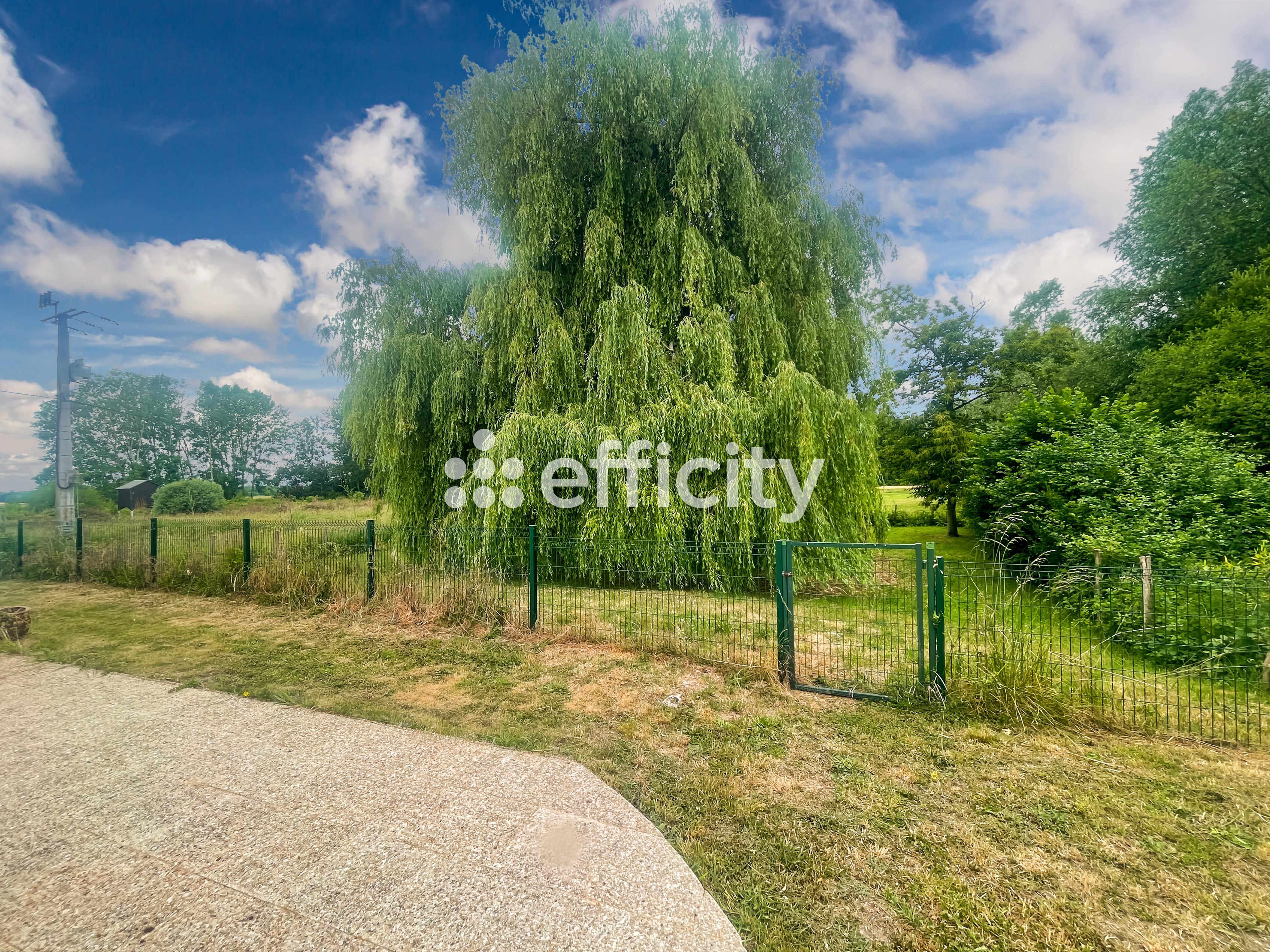 Achat immobilier Maison 6 pièces  130m2 à Mosnes (37530) - Photo n°6