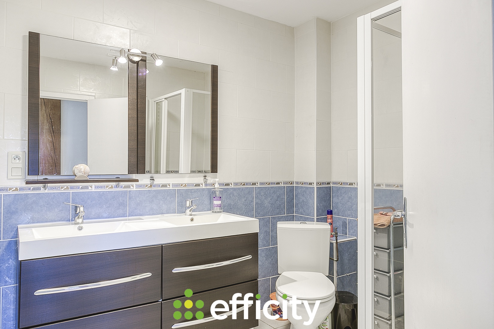 Achat immobilier Maison 7 pièces  215m2 à Ambérieu-en-Bugey (01500) - Photo n°22