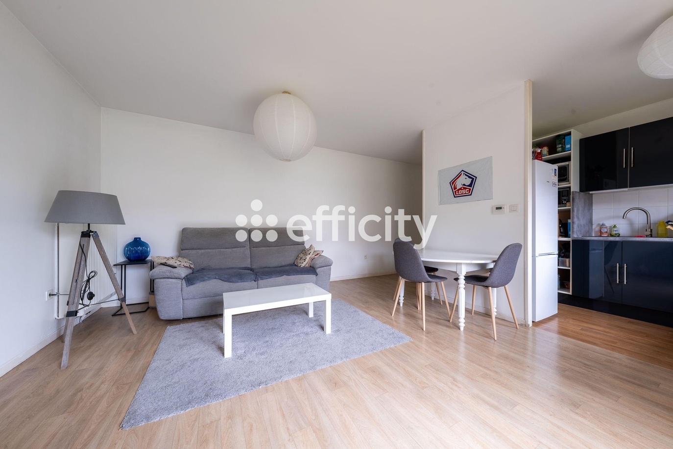 appartement 3 pièces - 60m2 à Lille (59000)