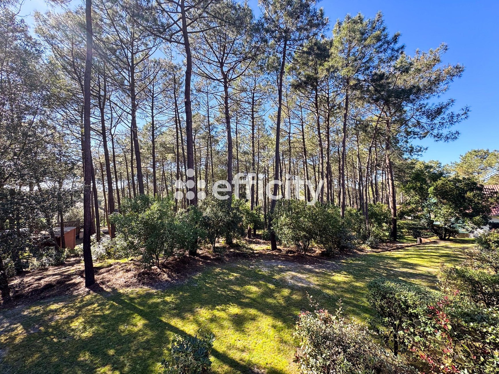 Achat immobilier Appartement 2 pièces  32m2 à Lacanau (33680) - Photo n°7