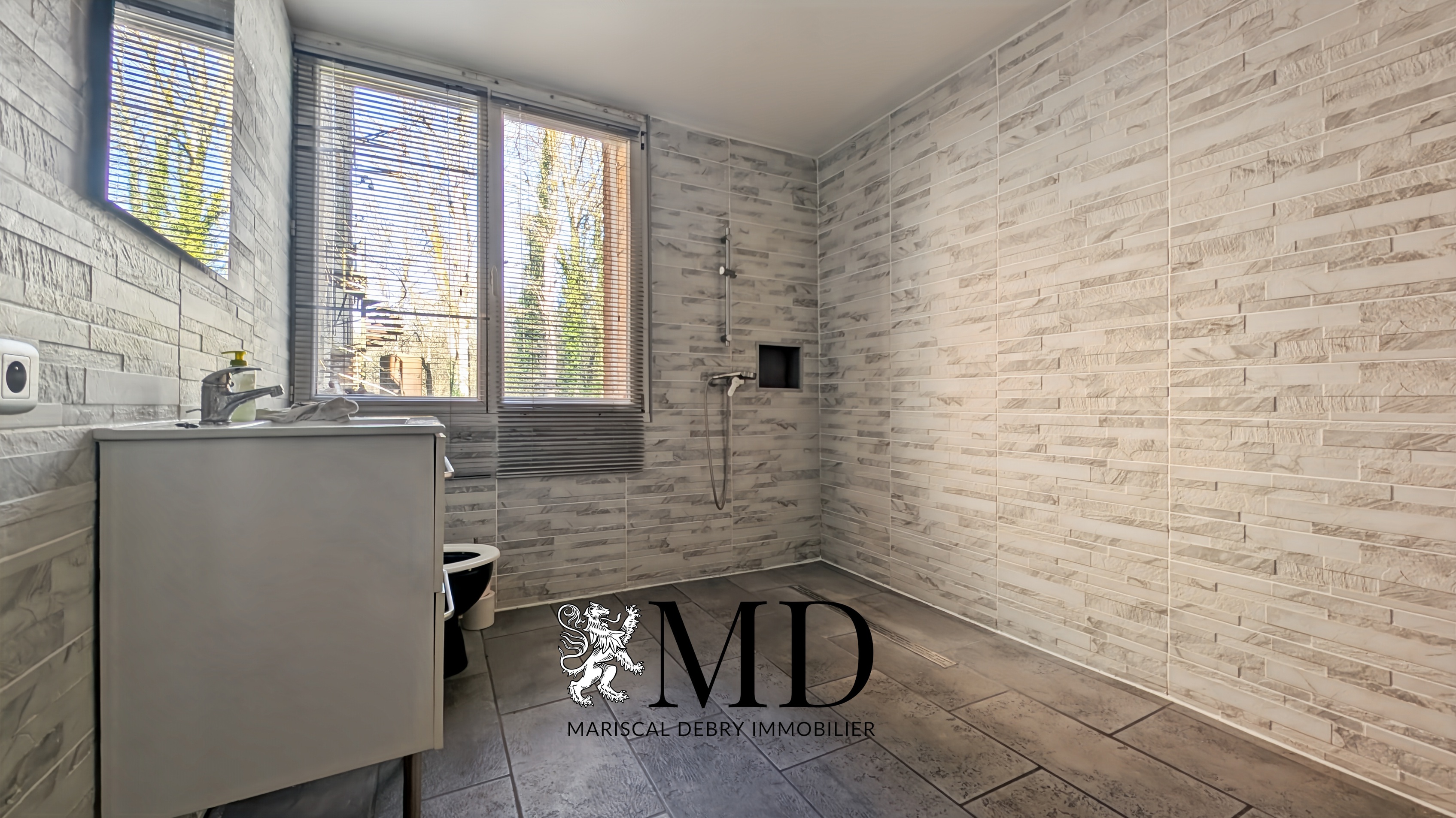 Achat immobilier Maison 10 pièces  355m2 à Saint-Saëns (76680) - Photo n°11