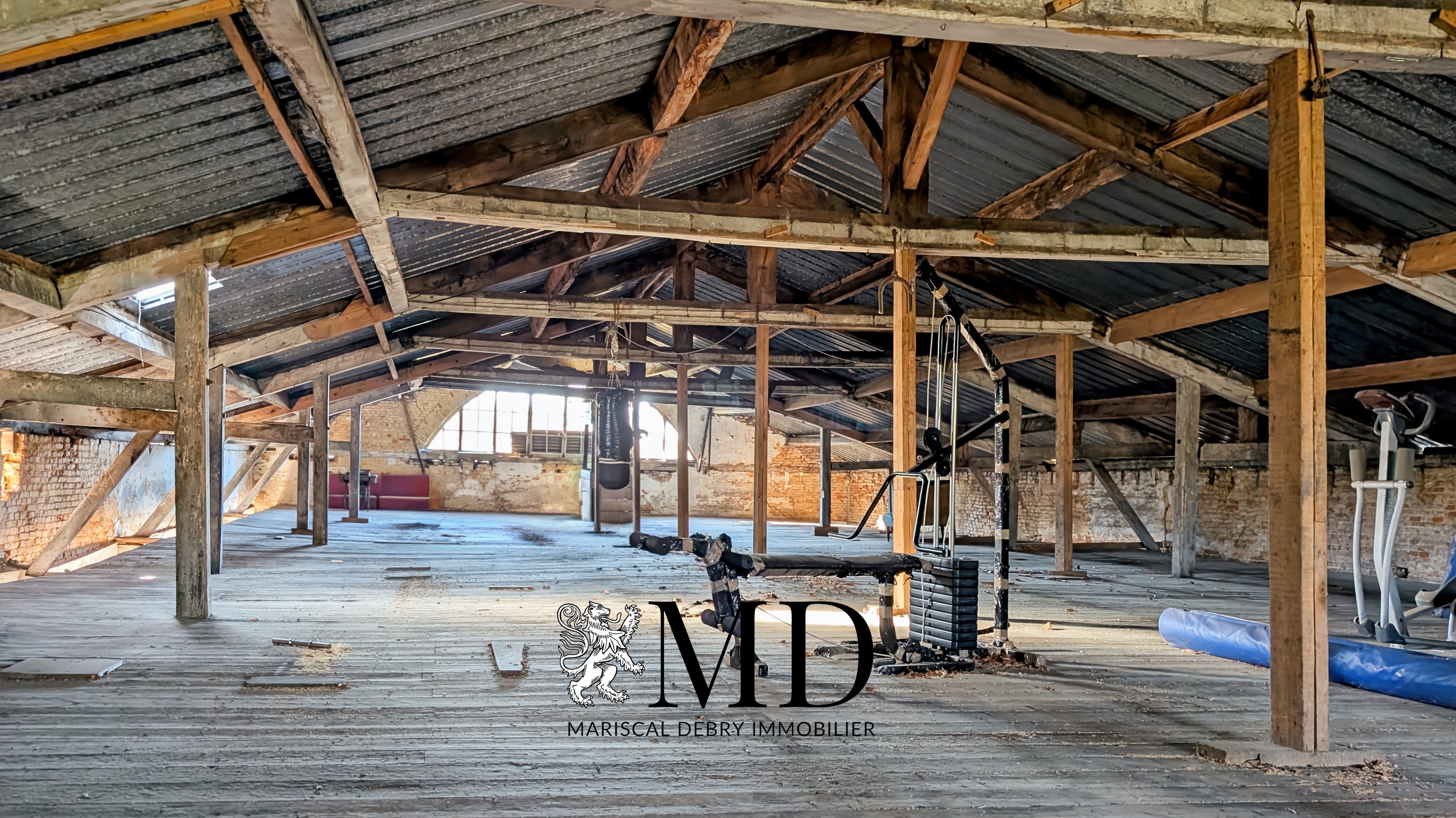 Achat immobilier Maison 10 pièces  355m2 à Saint-Saëns (76680) - Photo n°27