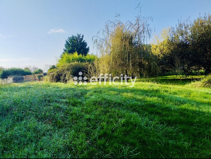 terrain  - 1000m2 à Muret (31600)