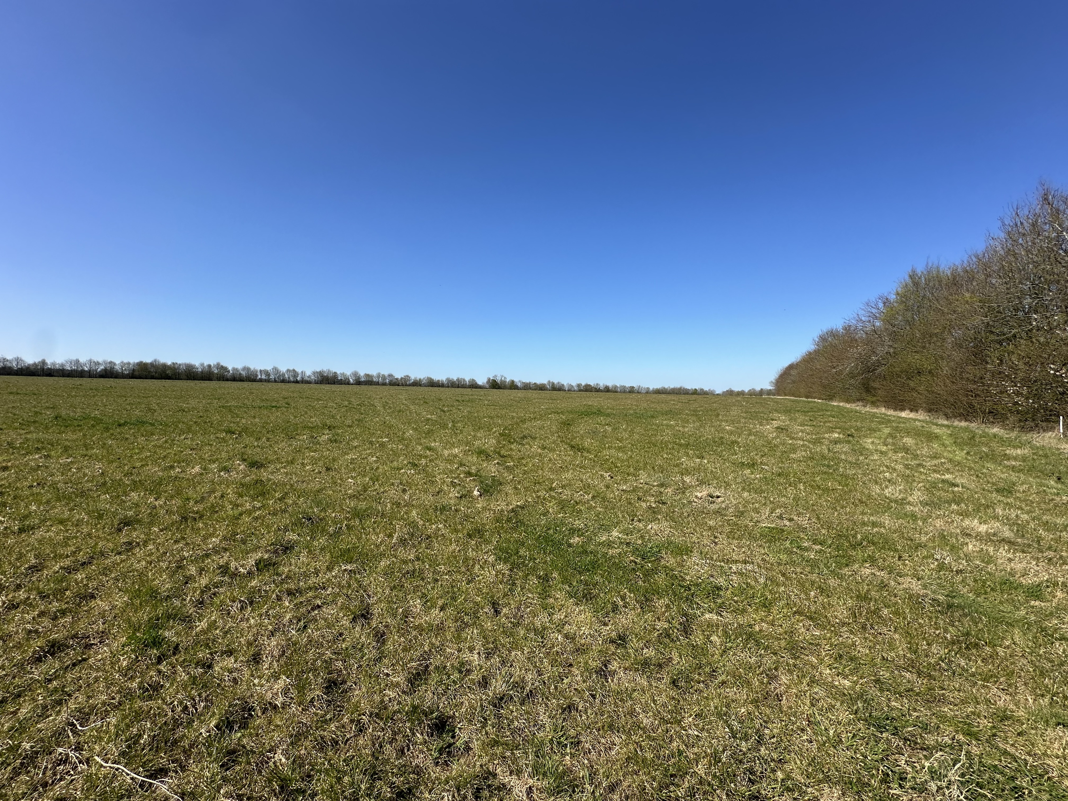 Achat immobilier Terrain   200000m2 à Genneville (14600) - Photo n°1