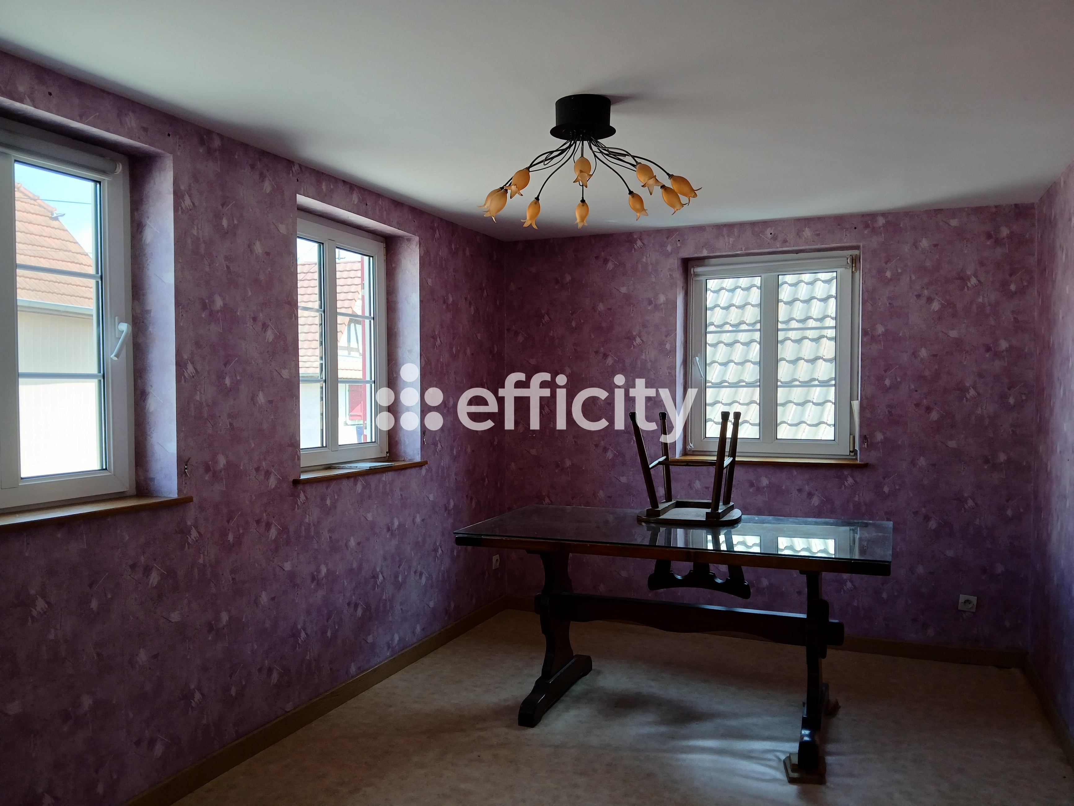 Achat immobilier Maison 10 pièces  388m2 à Lobsann (67250) - Photo n°8