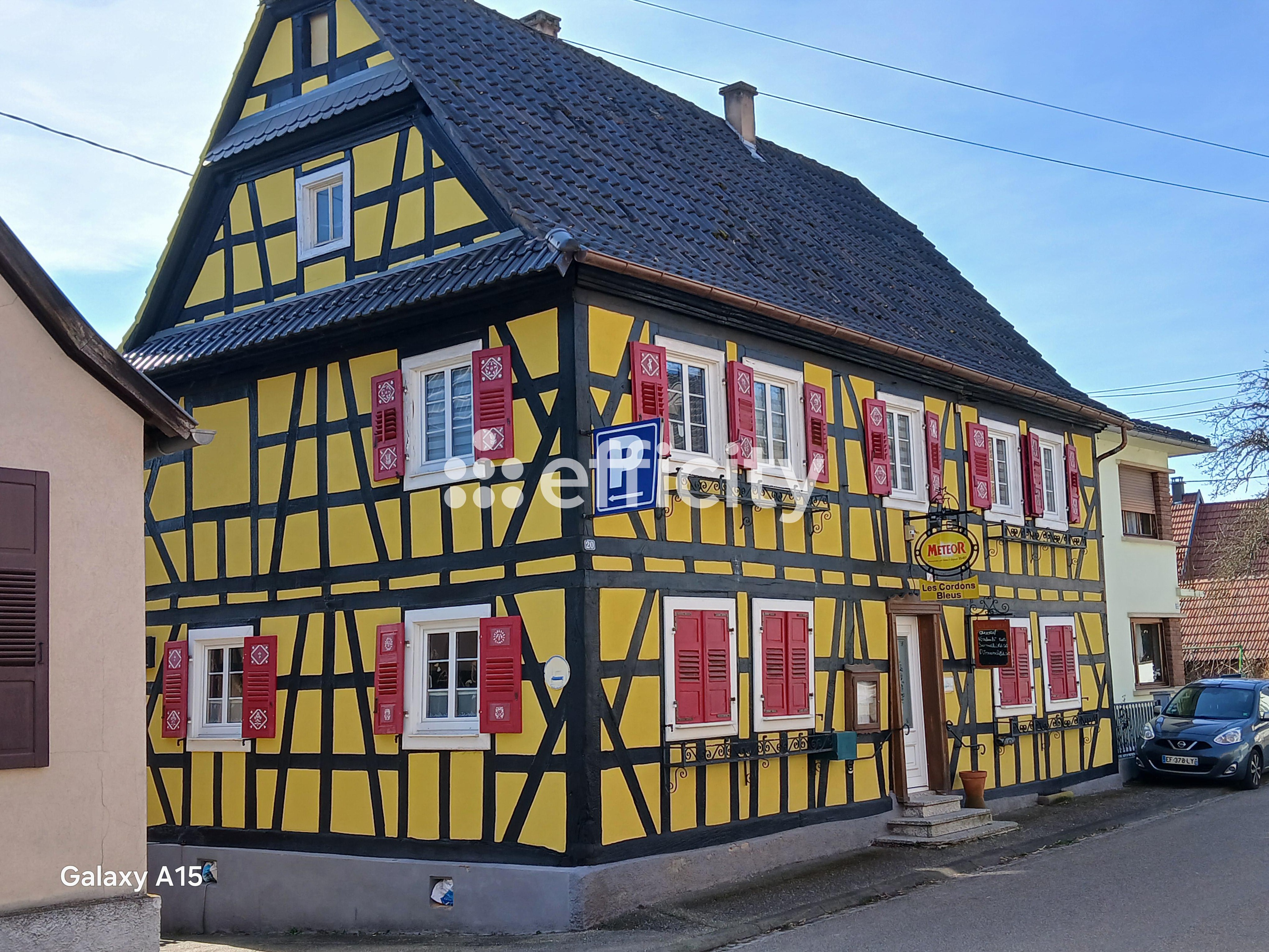 Achat immobilier Maison 10 pièces  388m2 à Lobsann (67250) - Photo n°10