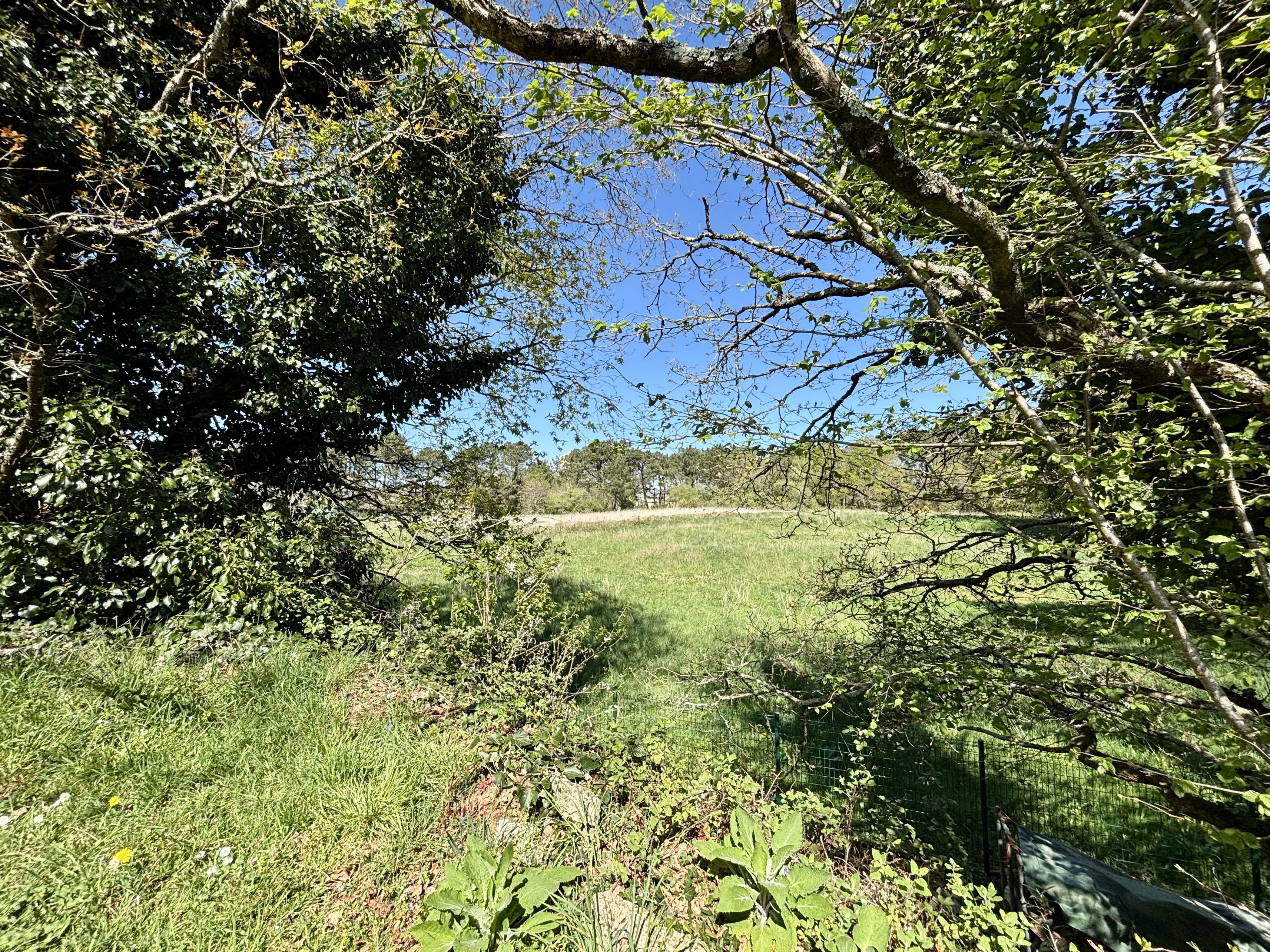 Achat immobilier Terrain   856m2 à Saint-Avé (56890) - Photo n°7