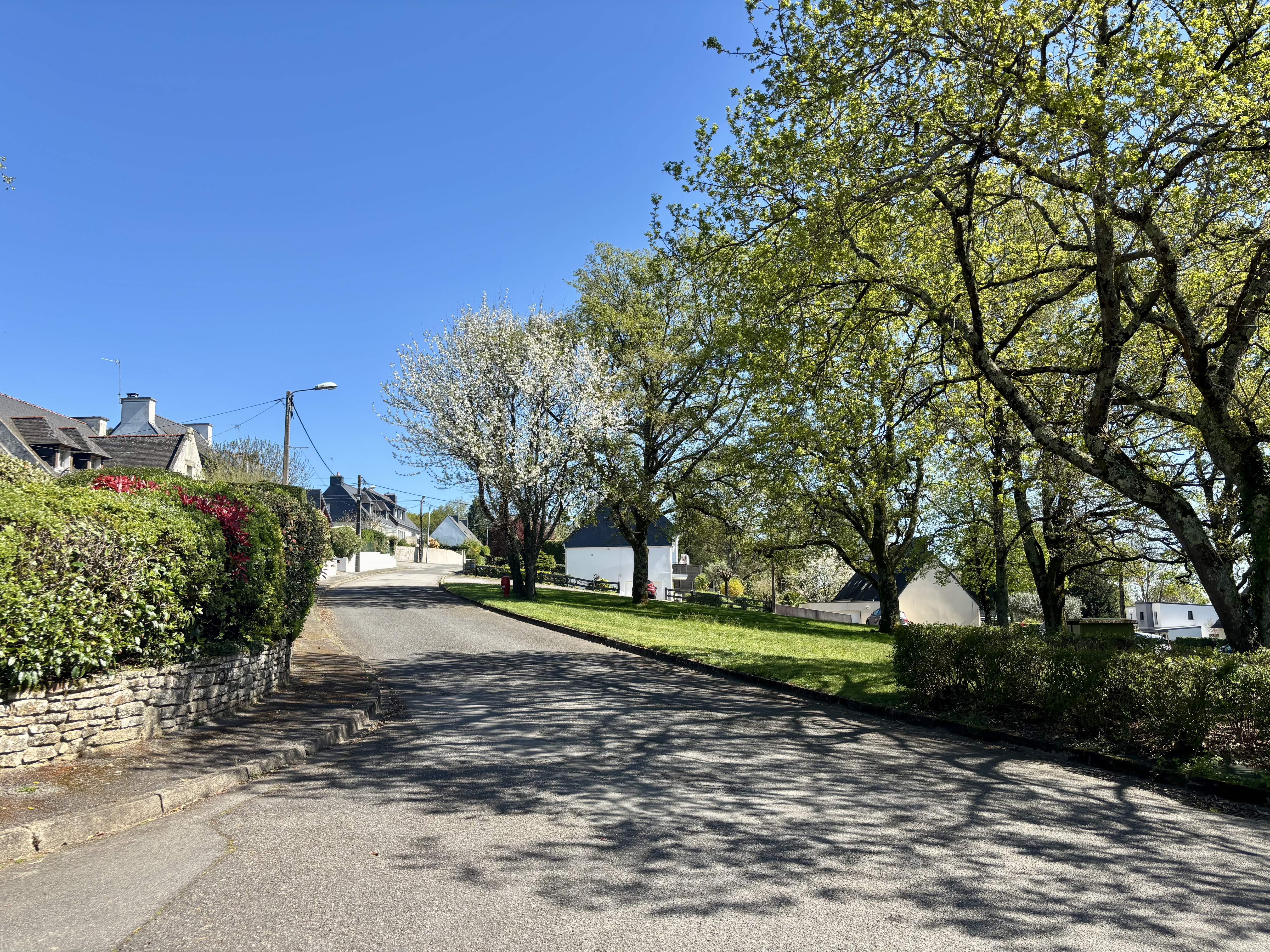 Achat immobilier Terrain   856m2 à Saint-Avé (56890) - Photo n°9