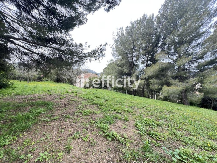 Achat immobilier Maison 7 pièces  180m2 à Marseille (13011) - Photo n°16