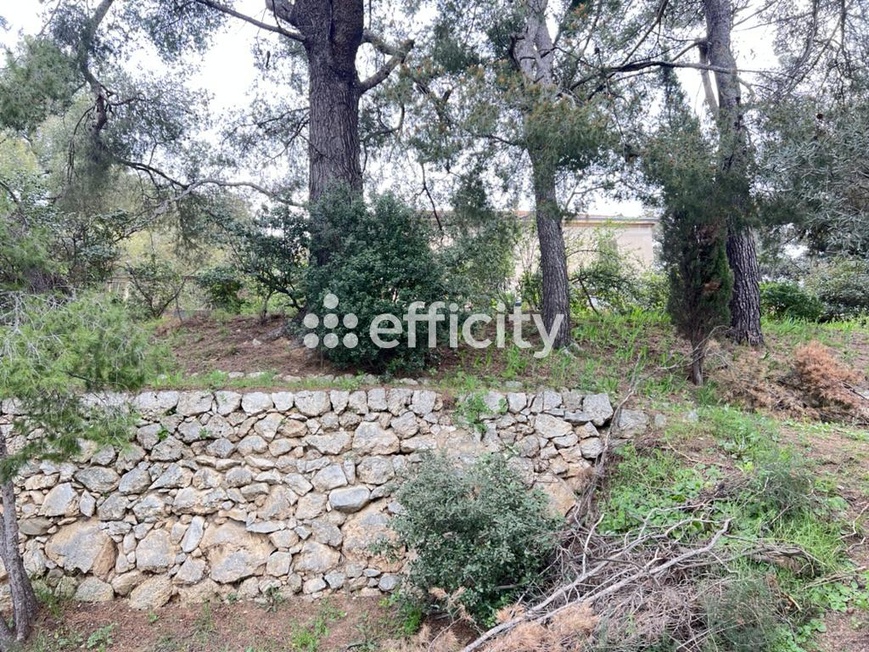 Achat immobilier Maison 7 pièces  180m2 à Marseille (13011) - Photo n°14