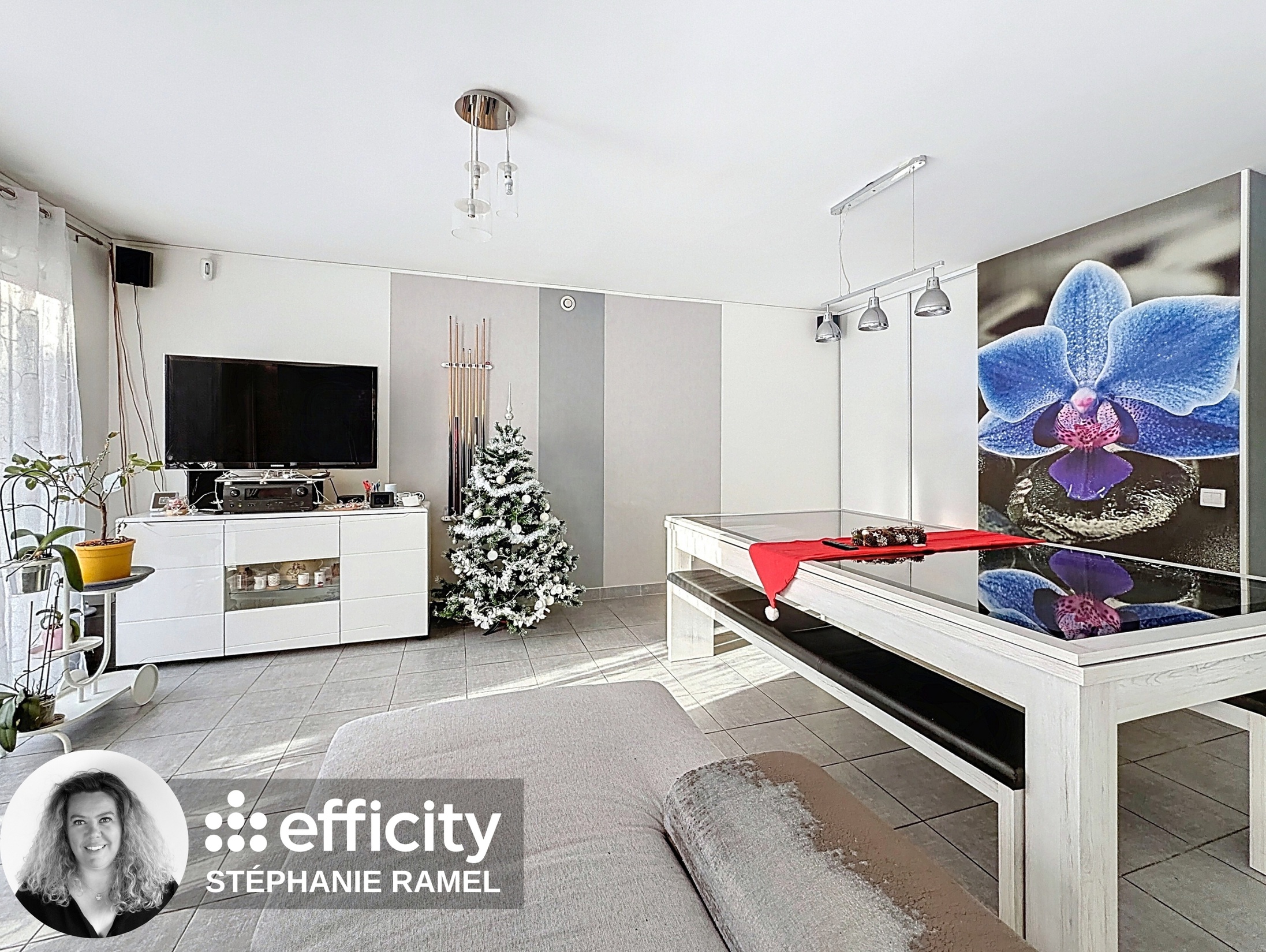 Achat immobilier Maison 4 pièces  113m2 à Scionzier (74950) - Photo n°6