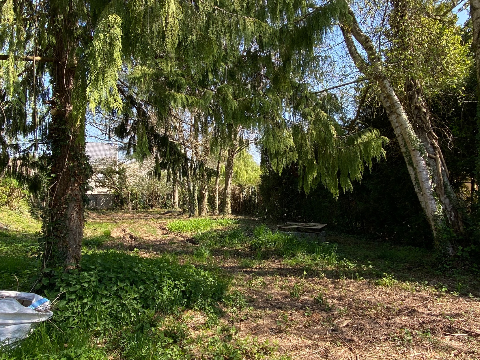 terrain  - 397m2 à Magny-les-Hameaux (78114)