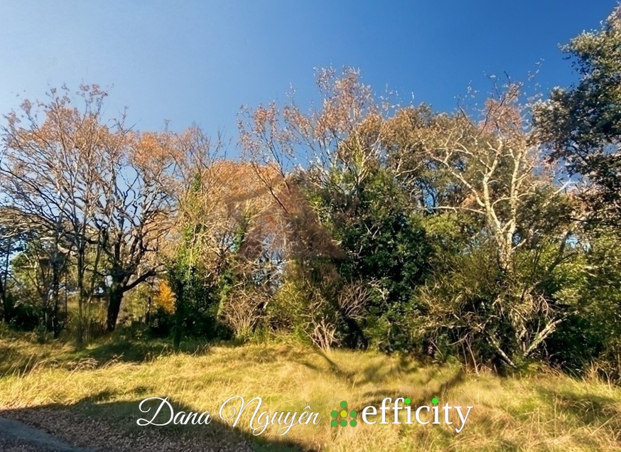 Achat immobilier Terrain   1040m2 à Molières-sur-Cèze (30410) - Photo n°1