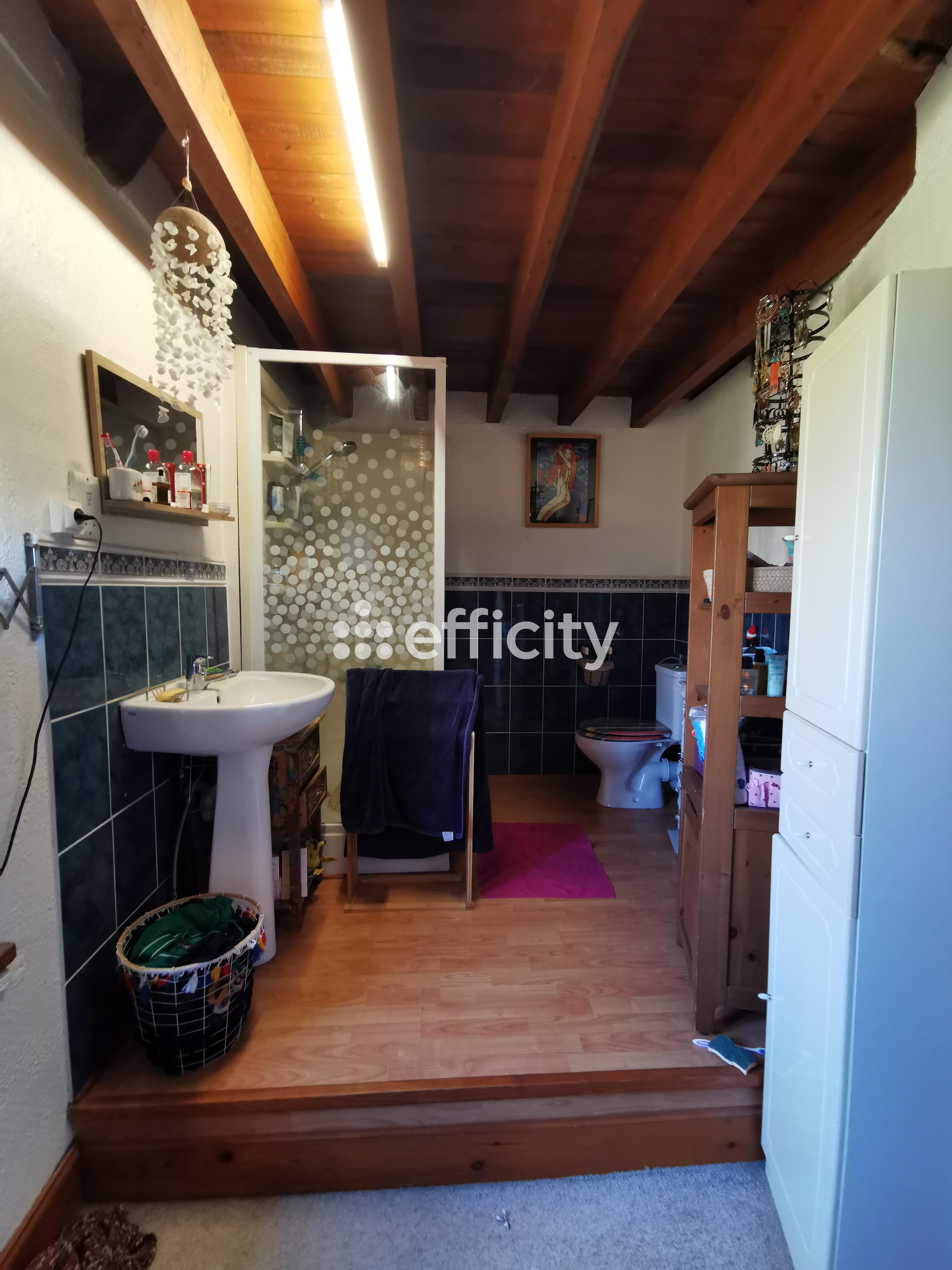 Achat immobilier Maison 9 pièces  243m2 à Noues de Sienne (14380) - Photo n°14
