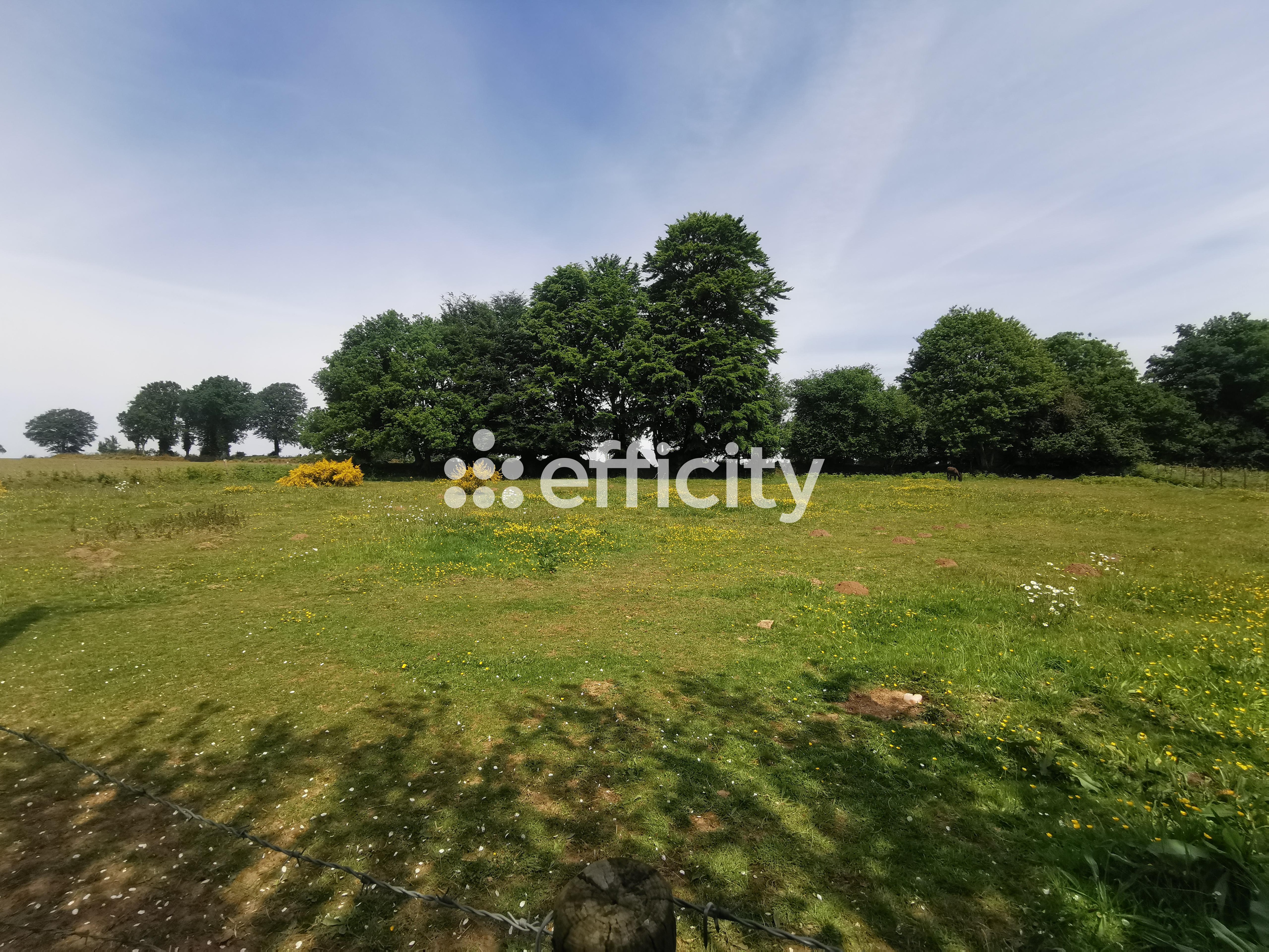 Achat immobilier Maison 9 pièces  243m2 à Noues de Sienne (14380) - Photo n°43