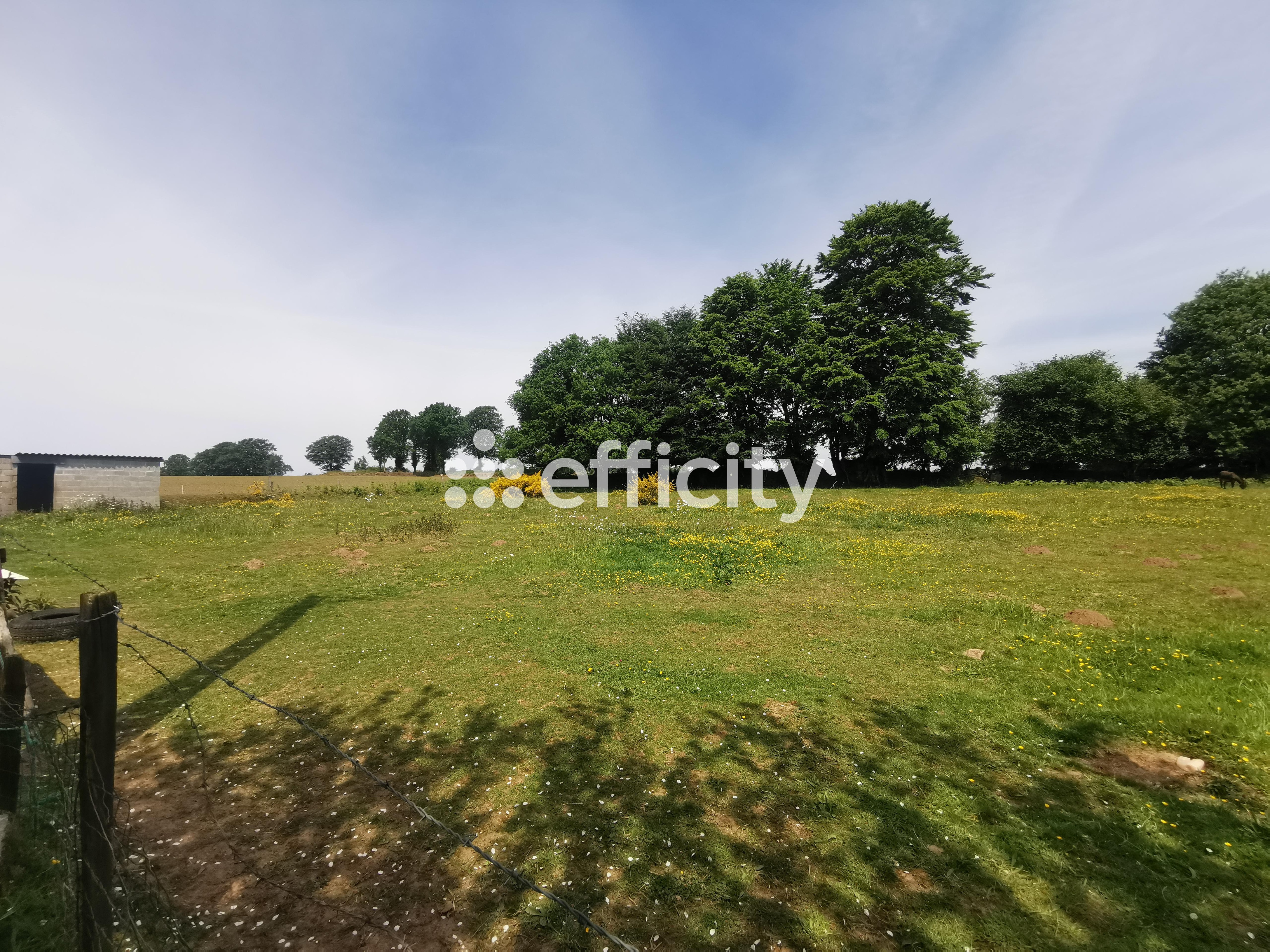 Achat immobilier Maison 9 pièces  243m2 à Noues de Sienne (14380) - Photo n°42