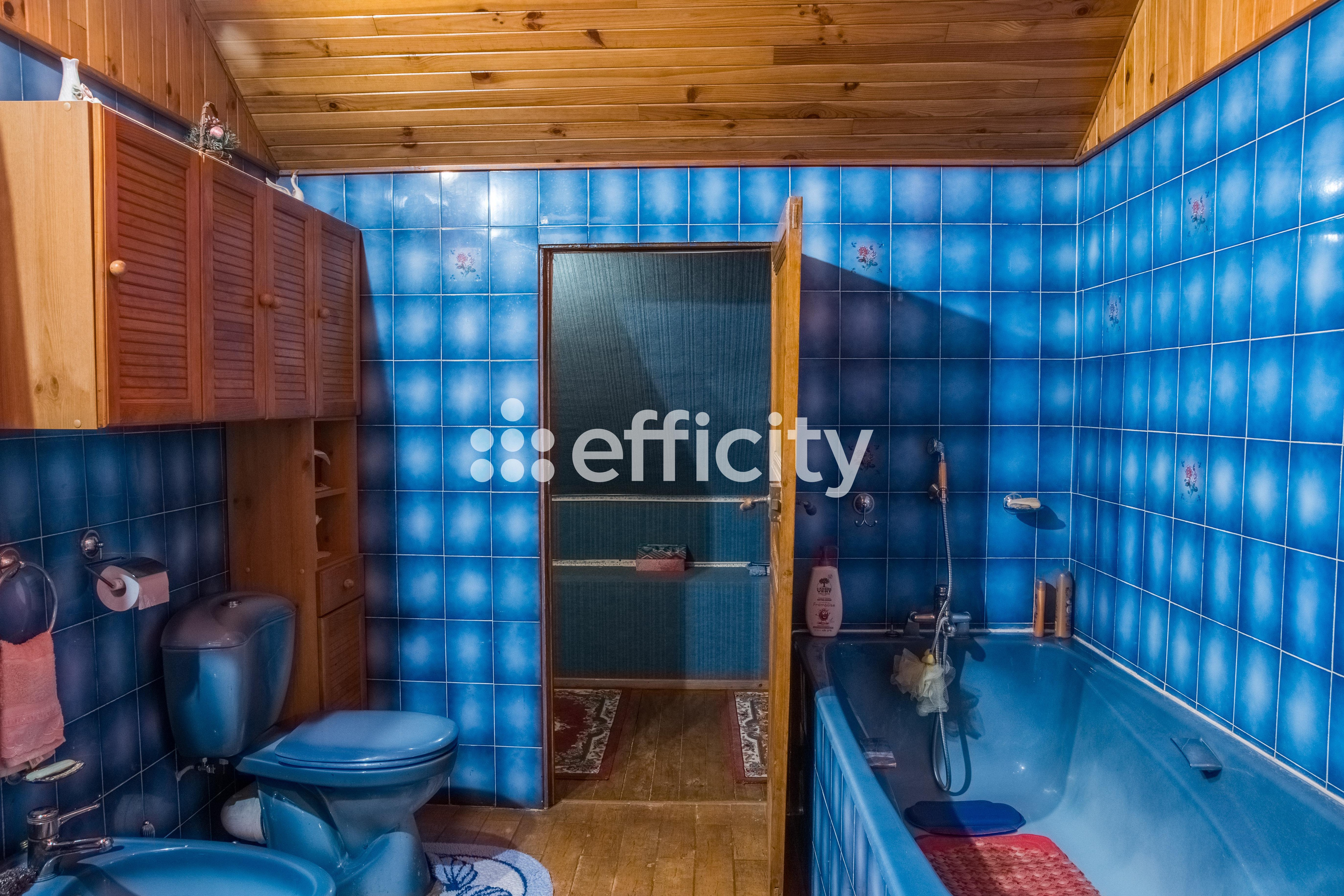 Achat immobilier Maison 5 pièces  115m2 à Villeneuve-le-Roi (94290) - Photo n°12