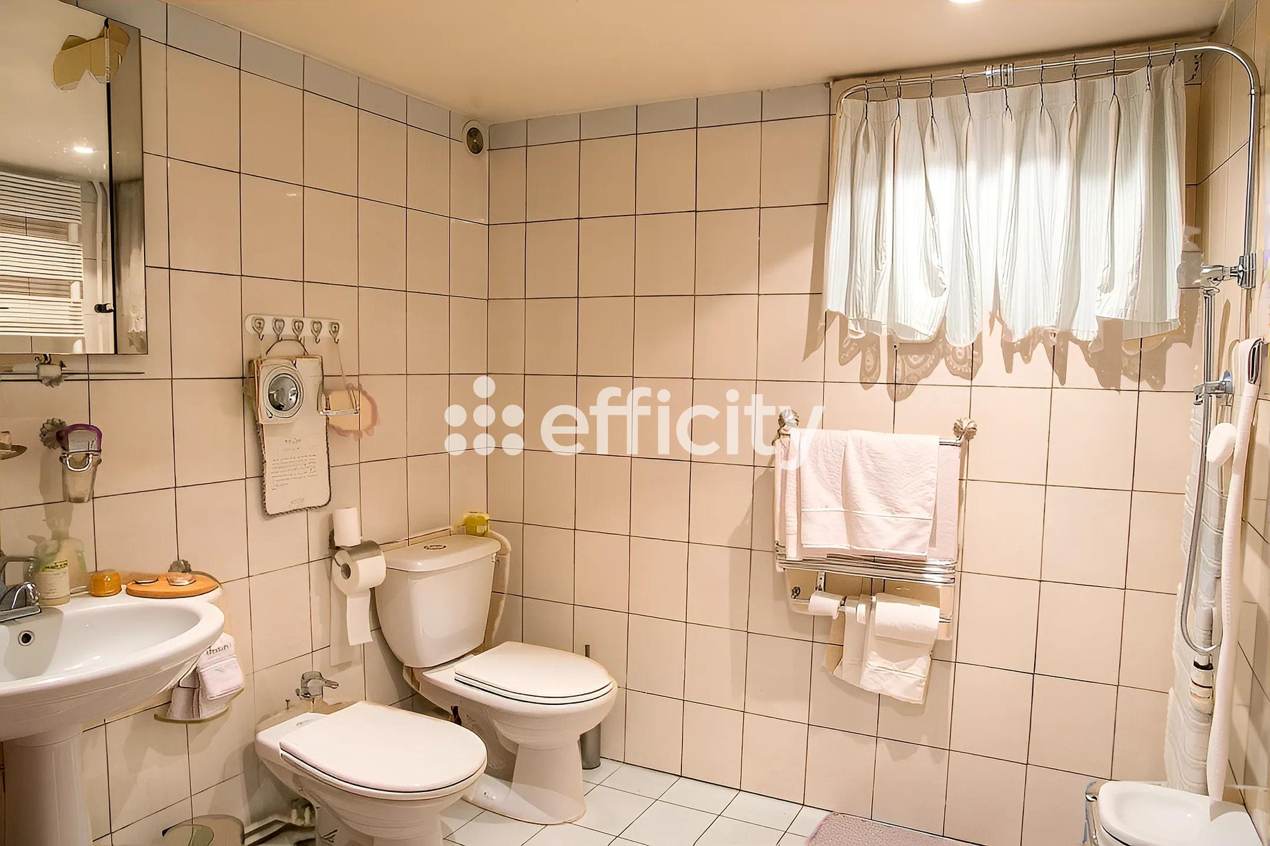 Achat immobilier Maison 5 pièces  115m2 à Villeneuve-le-Roi (94290) - Photo n°10