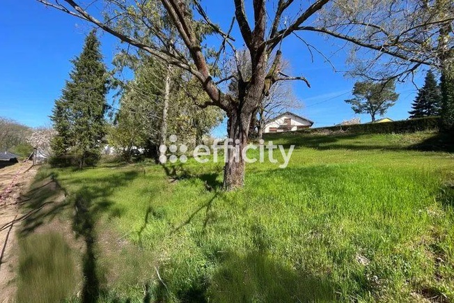 Achat immobilier Terrain   979m2 à Heiligenberg (67190) - Photo n°1