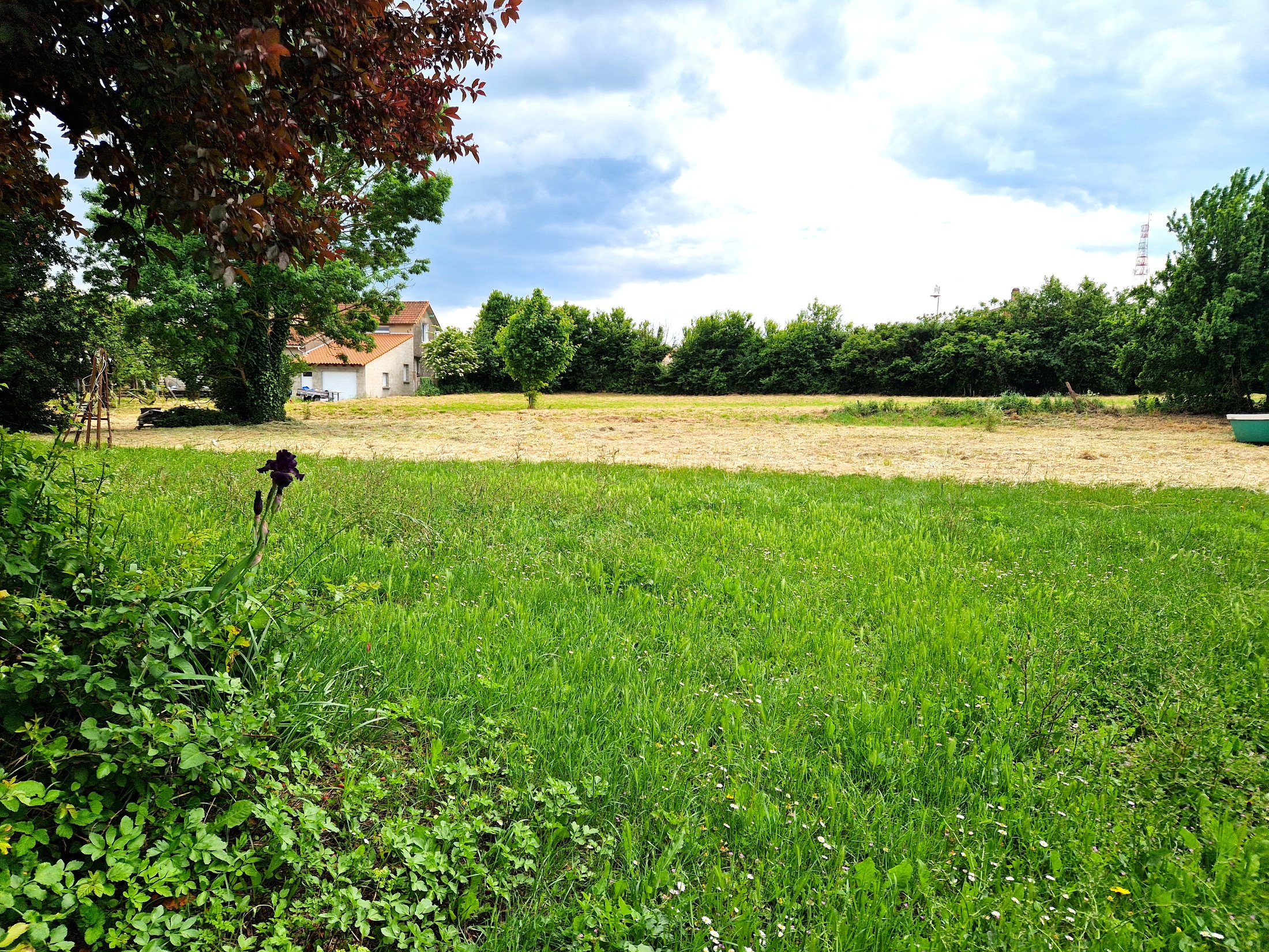 terrain  - 1147m2 à Royan (17200)