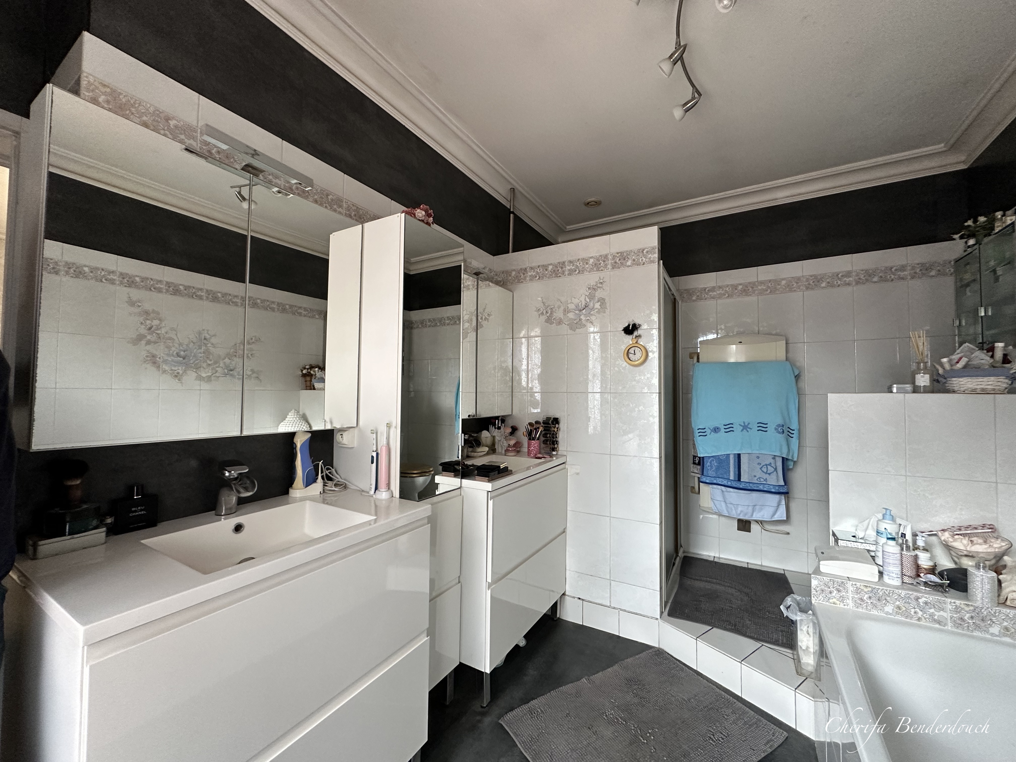 Achat immobilier Maison 10 pièces  300m2 à Saint-Selve (33650) - Photo n°6