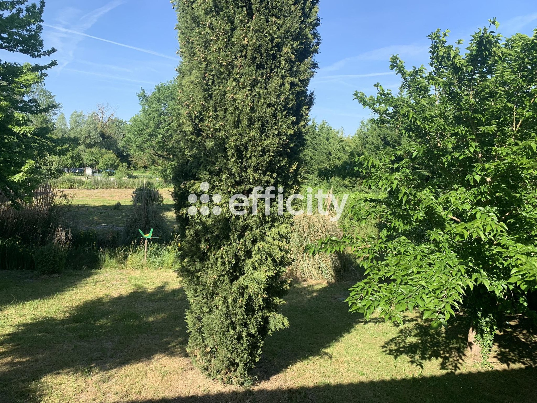 Achat immobilier Maison 6 pièces  144m2 à Aigre (16140) - Photo n°18