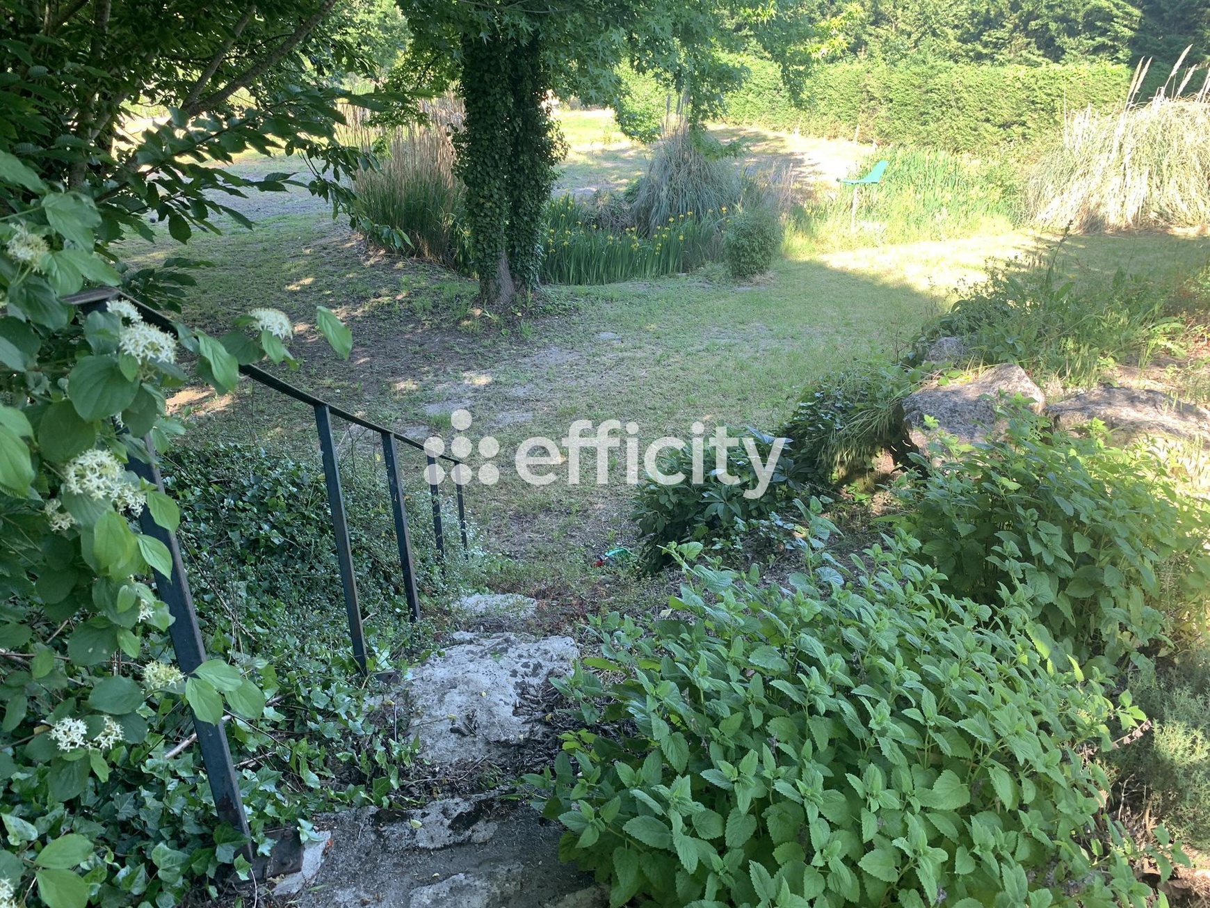 Achat immobilier Maison 6 pièces  144m2 à Aigre (16140) - Photo n°19