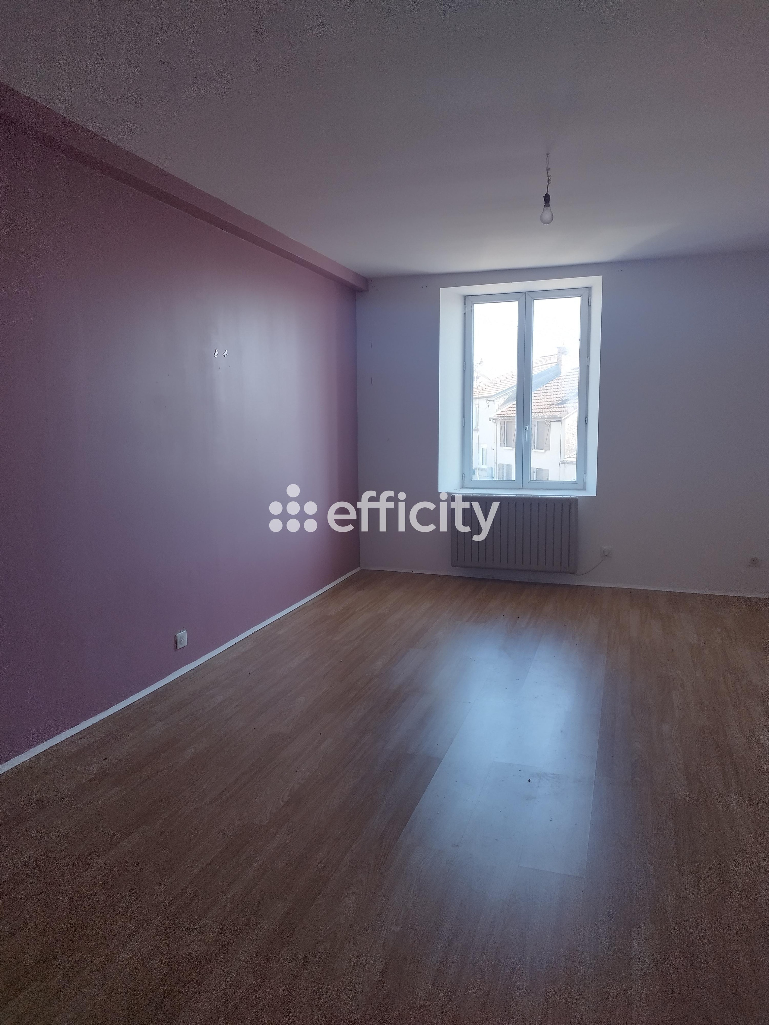 Achat immobilier Maison 7 pièces  180m2 à Nogent (52800) - Photo n°5