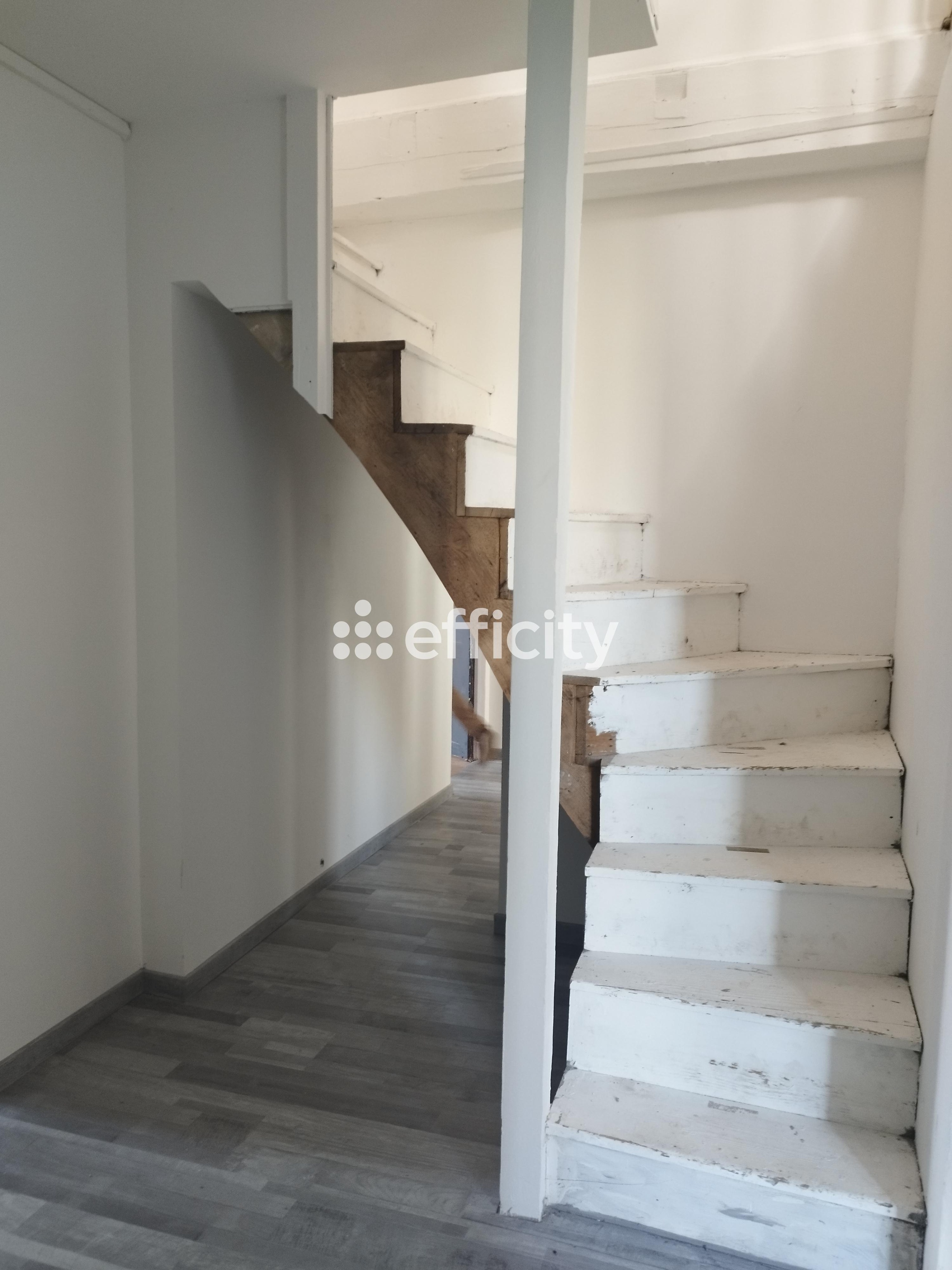 Achat immobilier Maison 7 pièces  180m2 à Nogent (52800) - Photo n°4