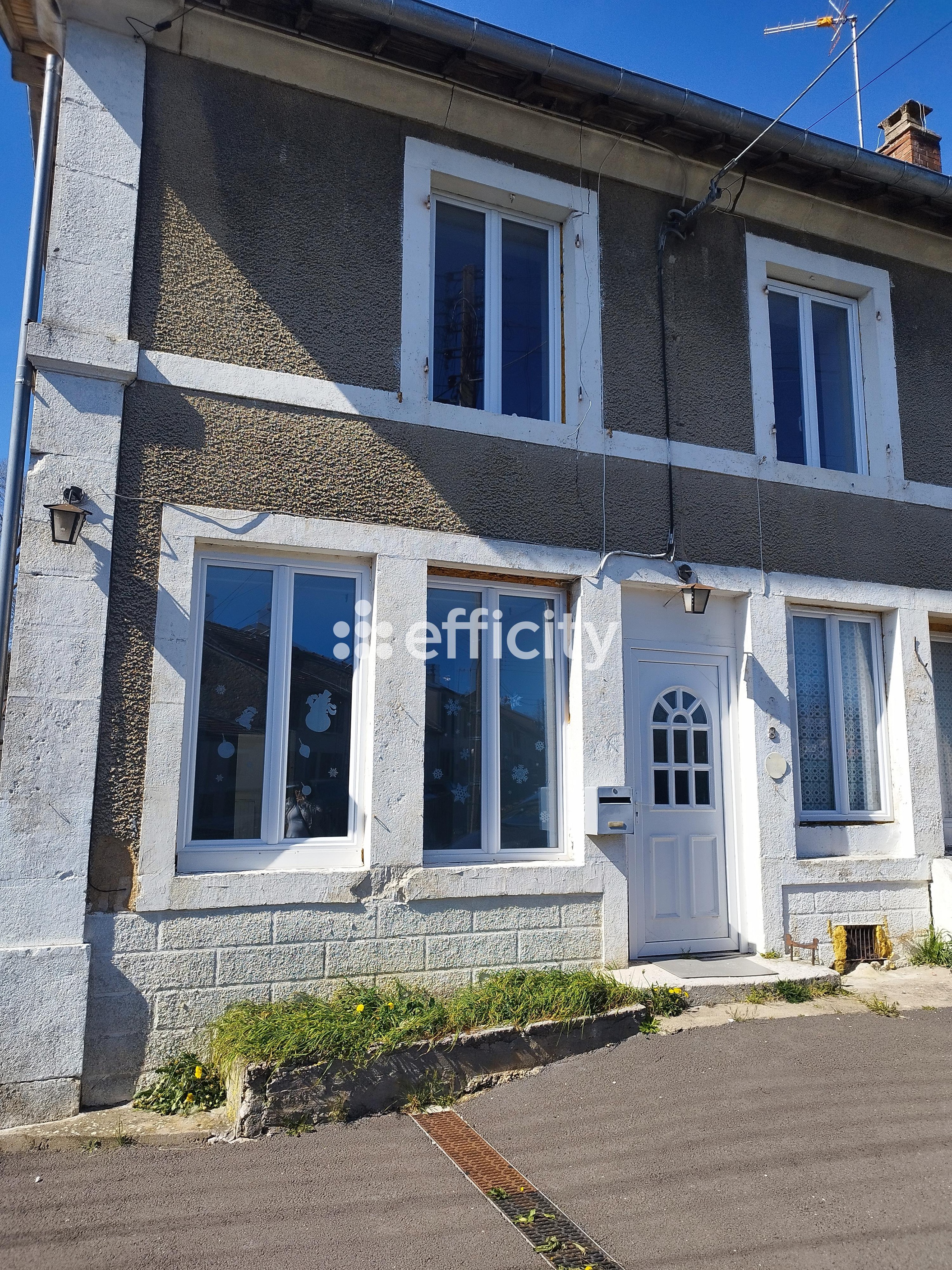 Achat immobilier Maison 7 pièces  180m2 à Nogent (52800) - Photo n°1