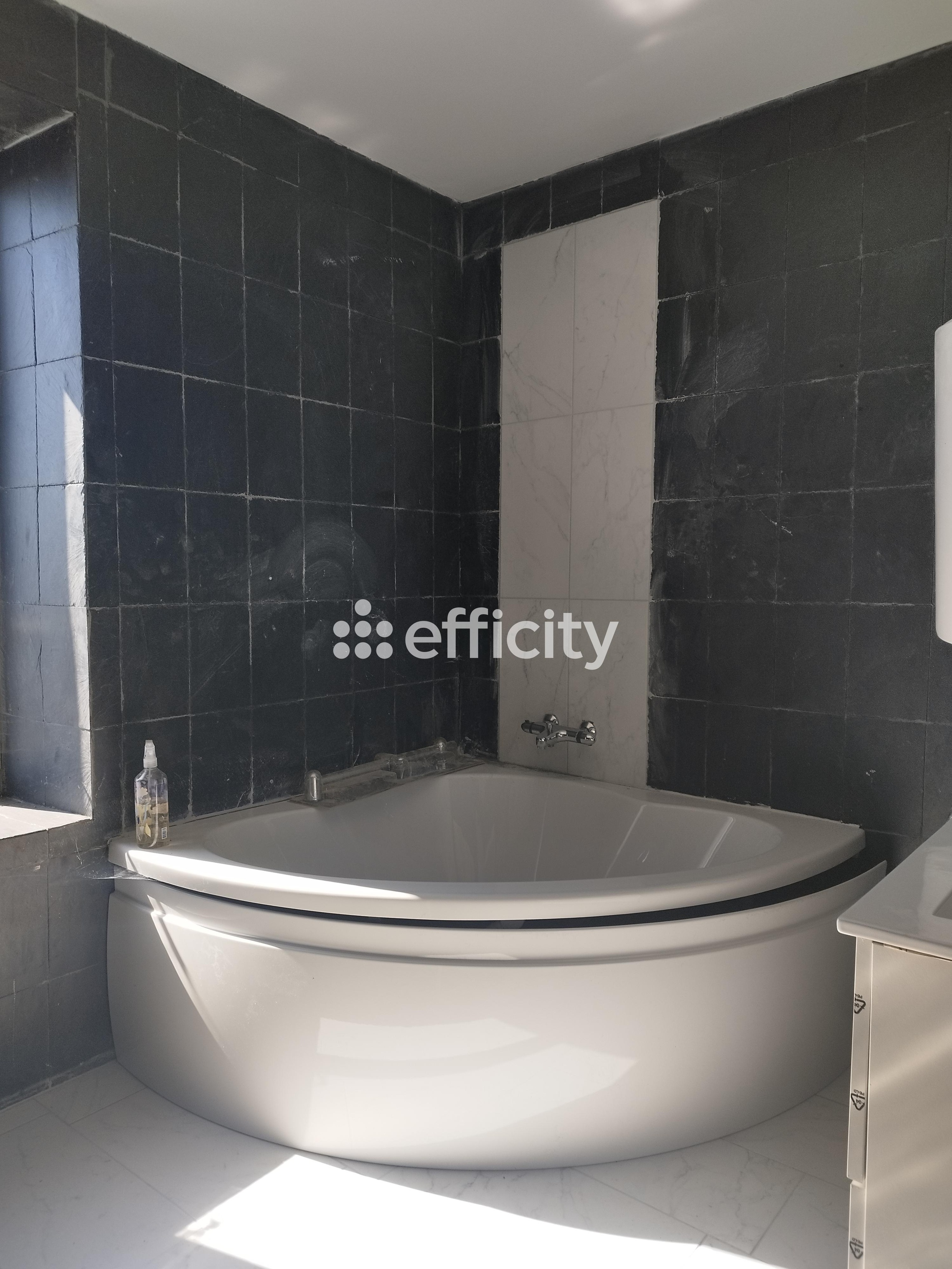 Achat immobilier Maison 7 pièces  180m2 à Nogent (52800) - Photo n°7