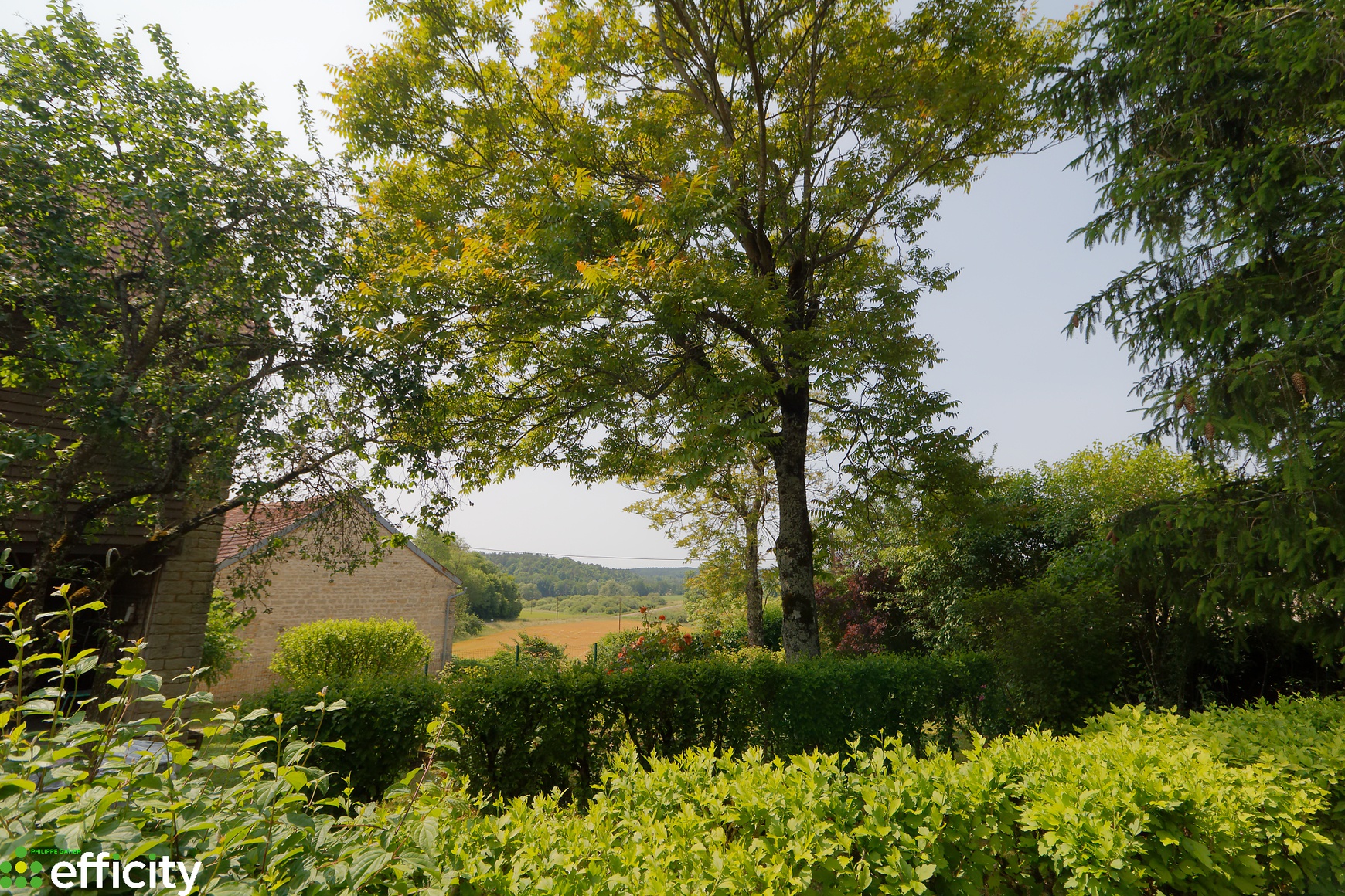 Achat immobilier Maison 5 pièces  130m2 à Villedieu (21330) - Photo n°6