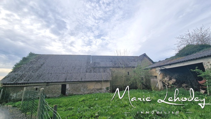 Achat immobilier Terrain   6294m2 à Notre-Dame-de-Cenilly (50210) - Photo n°6