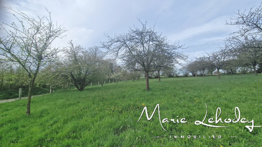 Achat immobilier Terrain   6294m2 à Notre-Dame-de-Cenilly (50210) - Photo n°4