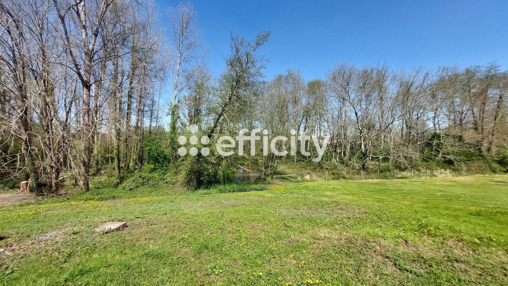 Achat immobilier Maison 9 pièces  256m2 à Magescq (40140) - Photo n°20