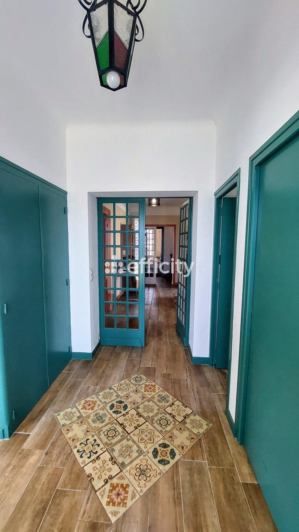 Achat immobilier Maison 9 pièces  256m2 à Magescq (40140) - Photo n°5