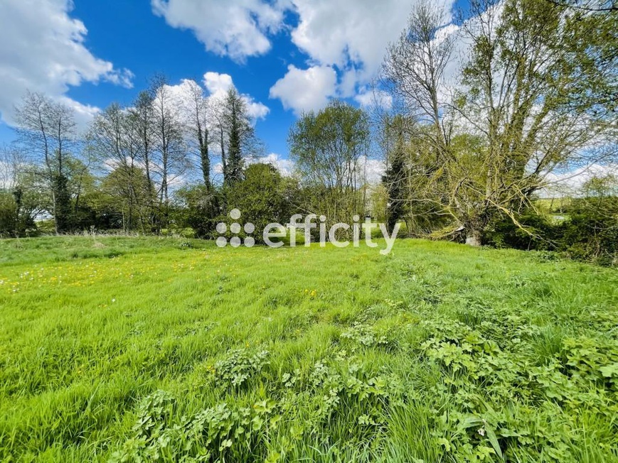Achat immobilier Maison 10 pièces  300m2 à Saint-Maixent (72320) - Photo n°22
