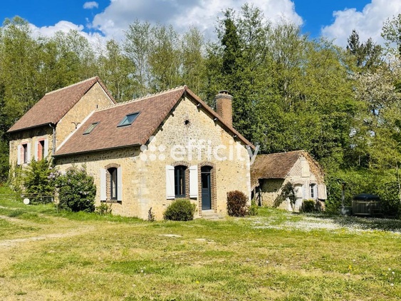 maison 10 pièces - 300m2 à Saint-Maixent (72320)