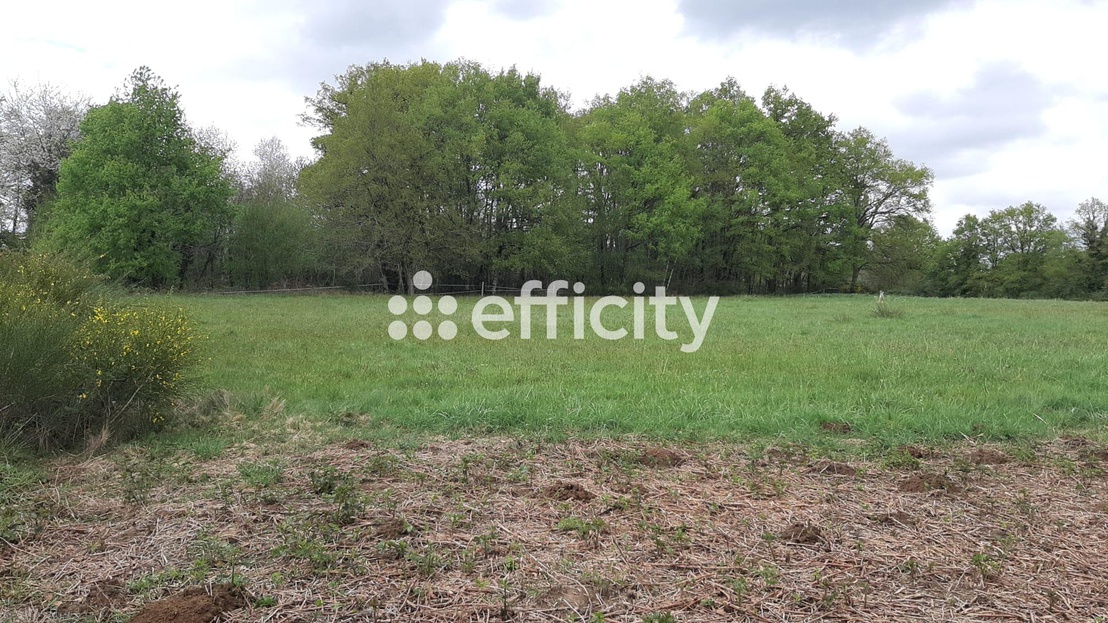 terrain  - 1020,0m2 à Saint-Auvent (87310)