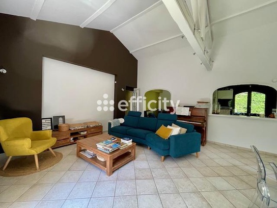 Achat immobilier Maison 4 pièces  149m2 à Salaise-sur-Sanne (38150) - Photo n°9