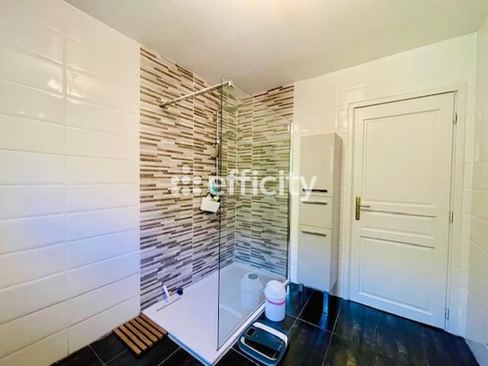 Achat immobilier Maison 4 pièces  149m2 à Salaise-sur-Sanne (38150) - Photo n°15