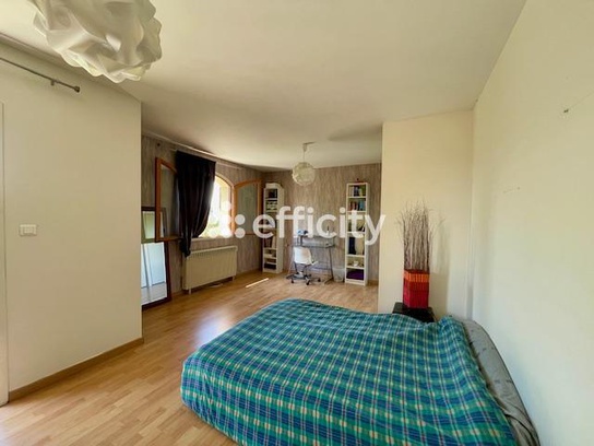 Achat immobilier Maison 4 pièces  149m2 à Salaise-sur-Sanne (38150) - Photo n°20