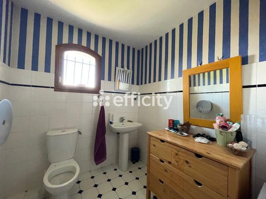Achat immobilier Maison 4 pièces  149m2 à Salaise-sur-Sanne (38150) - Photo n°24